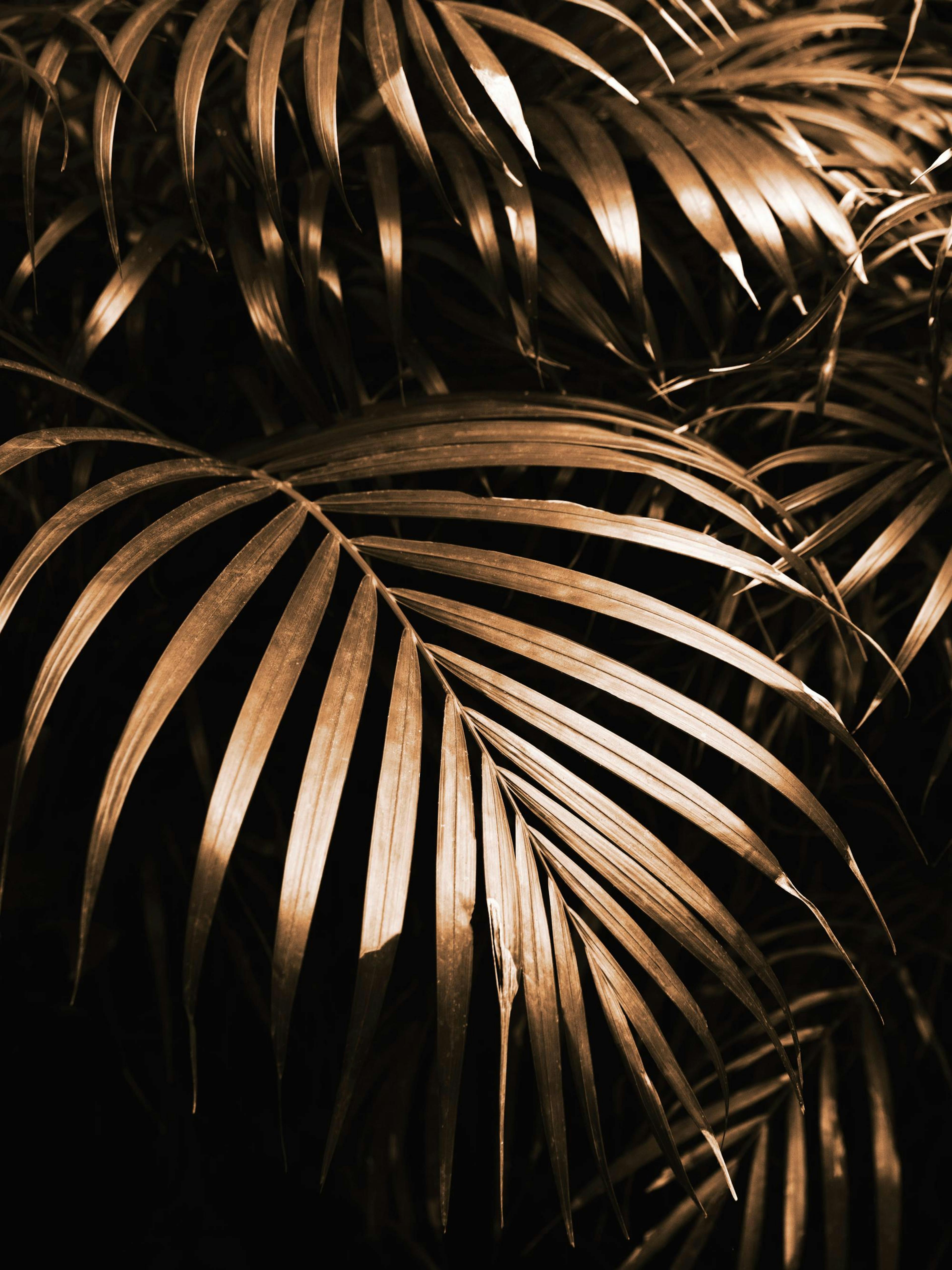 Golden Botanic Poster