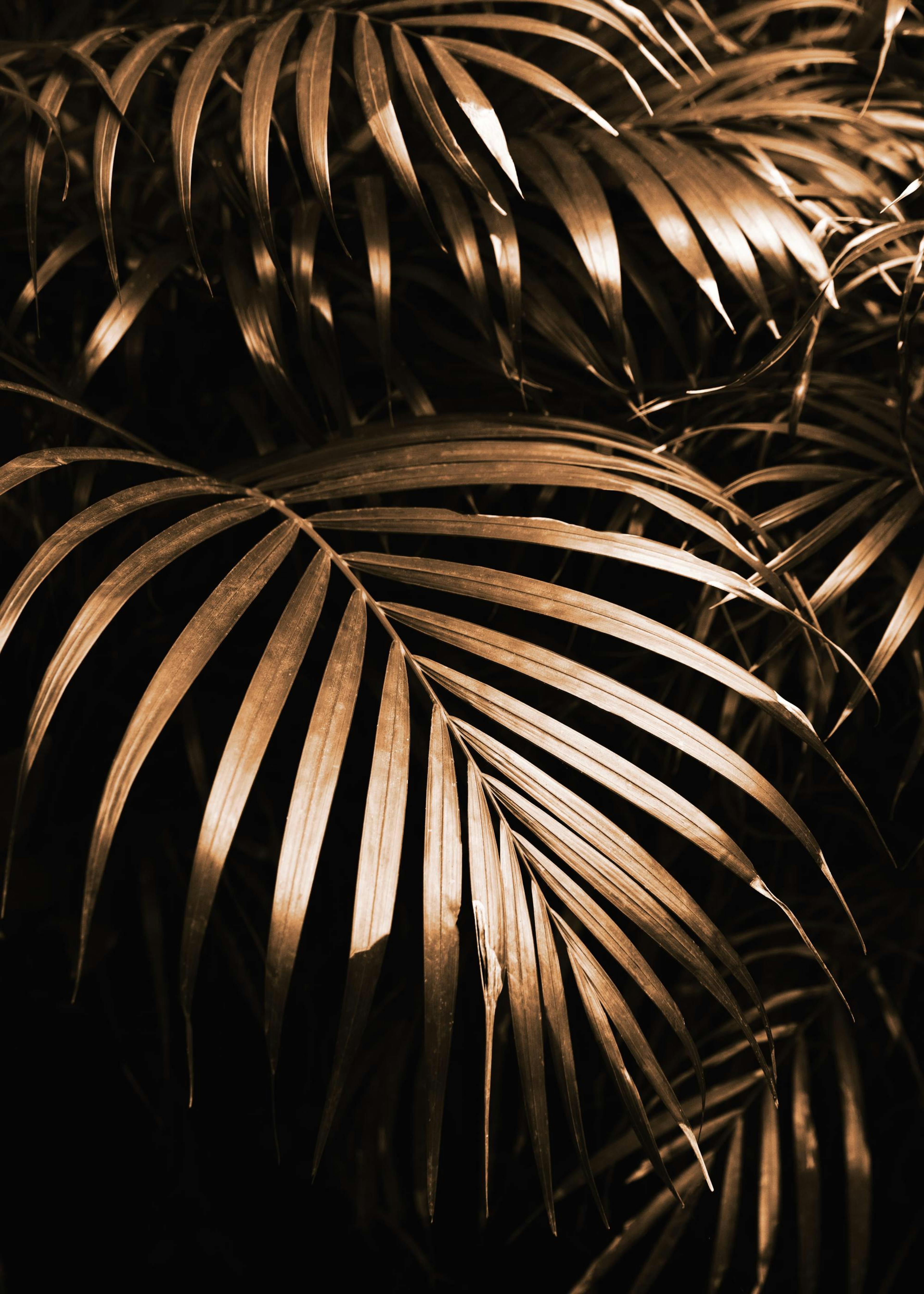 Golden Botanic Poster 0