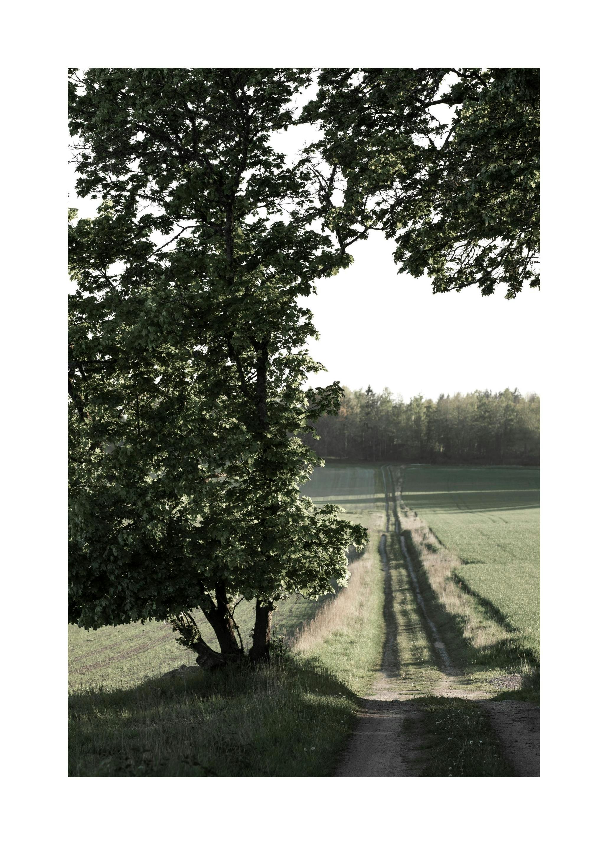 Country Road Print (30x40 cm)