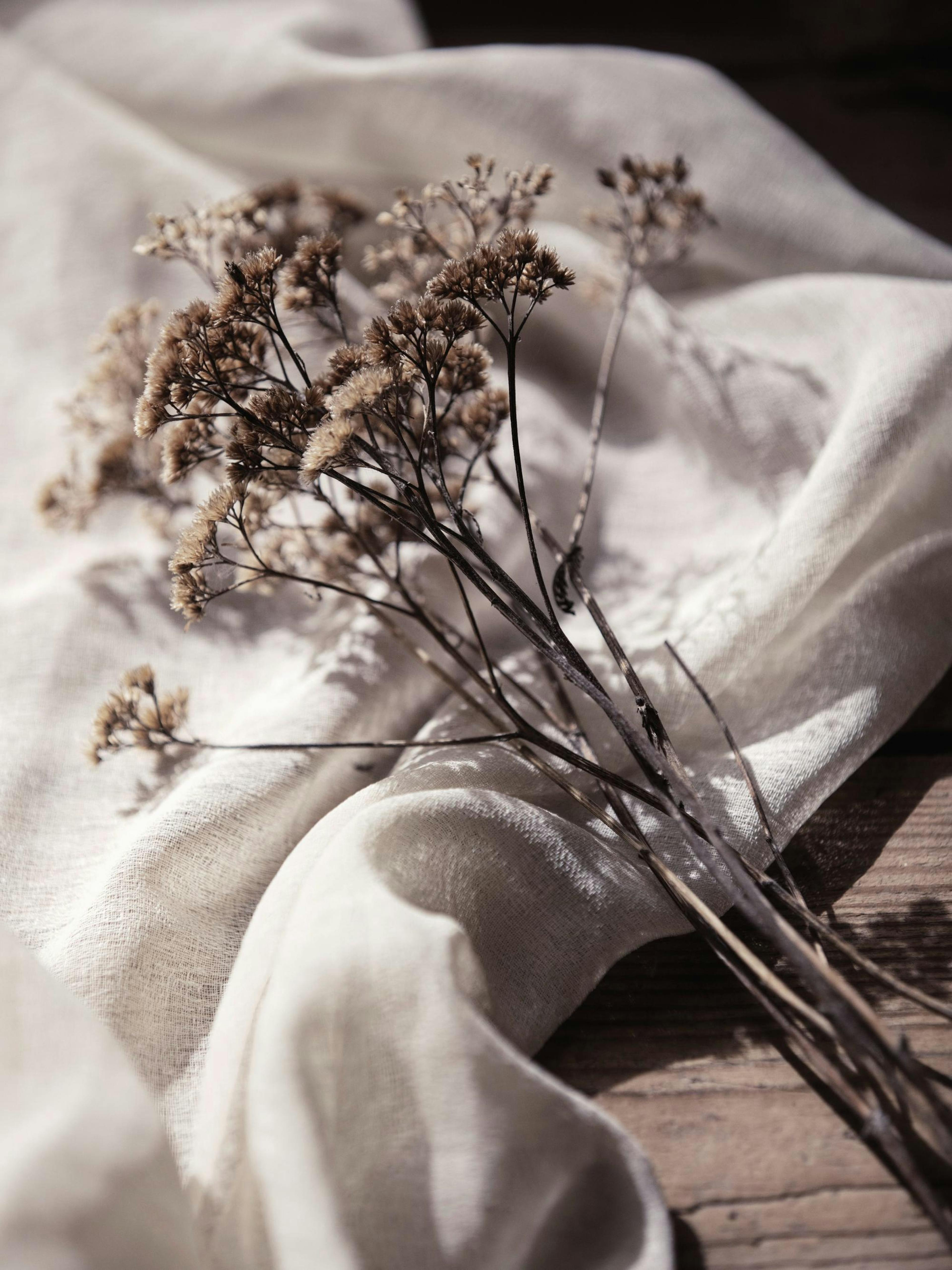 Dried Bed Affiche