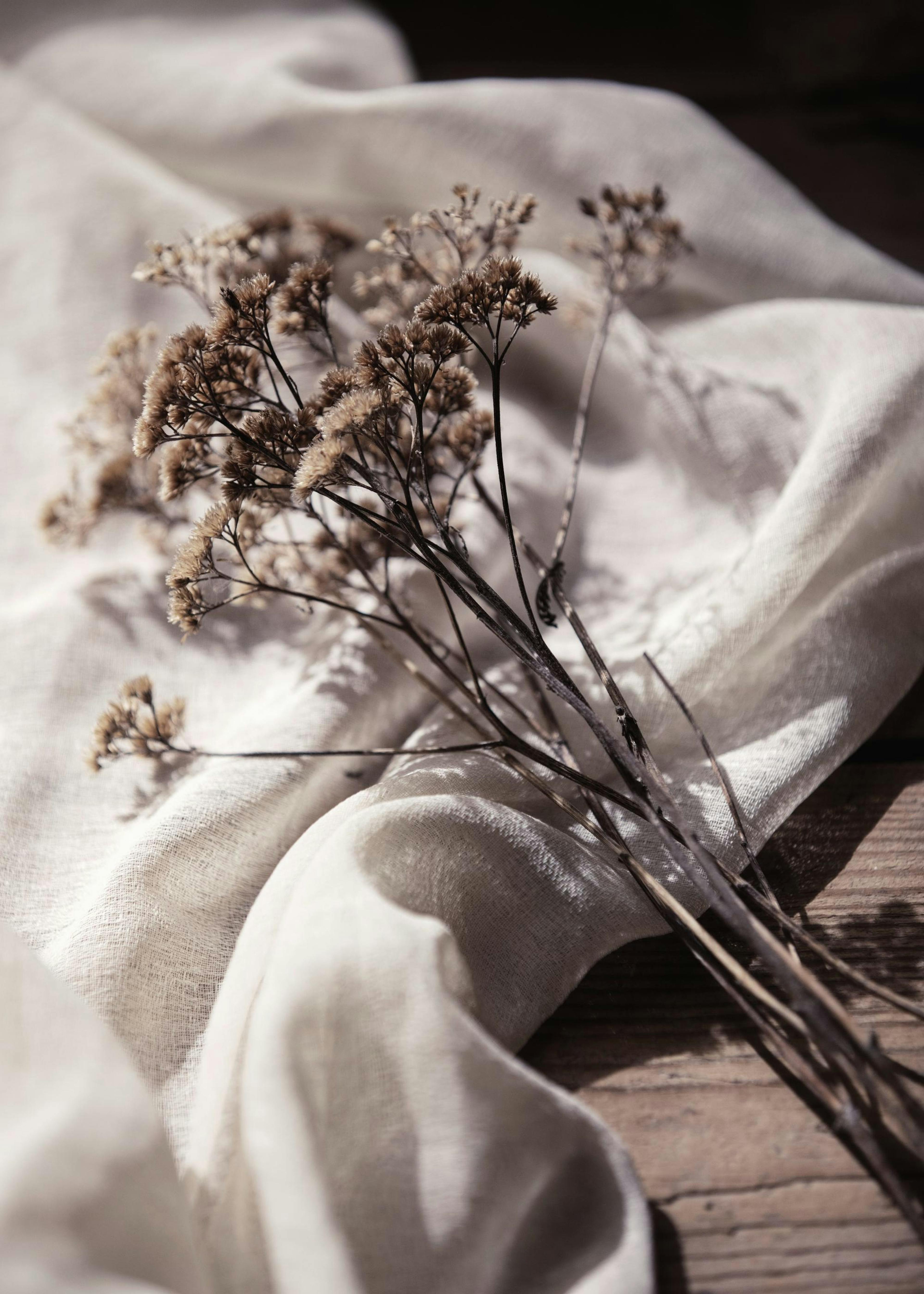 Dried Bed Print 0