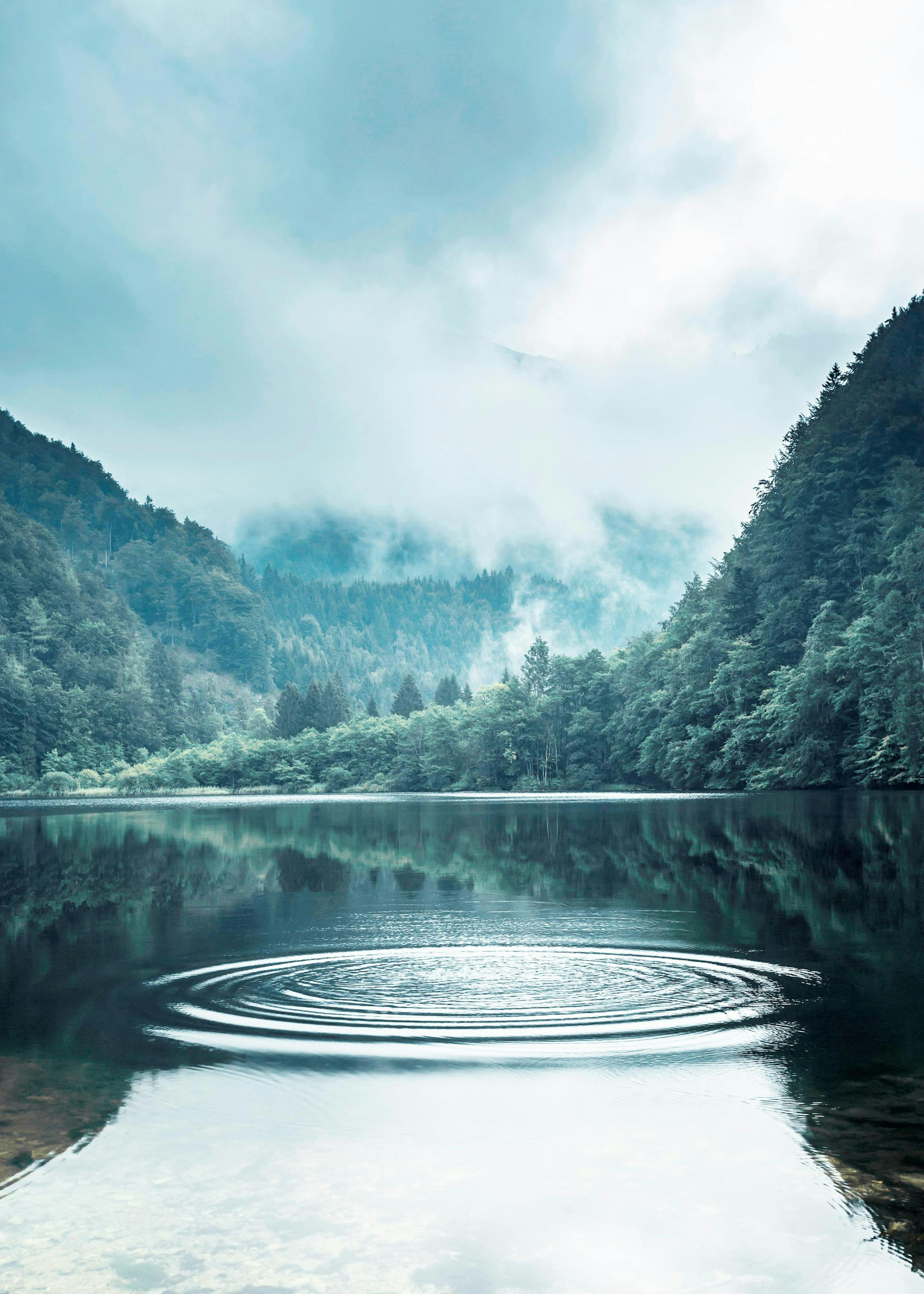 Rings on the Water Print 0