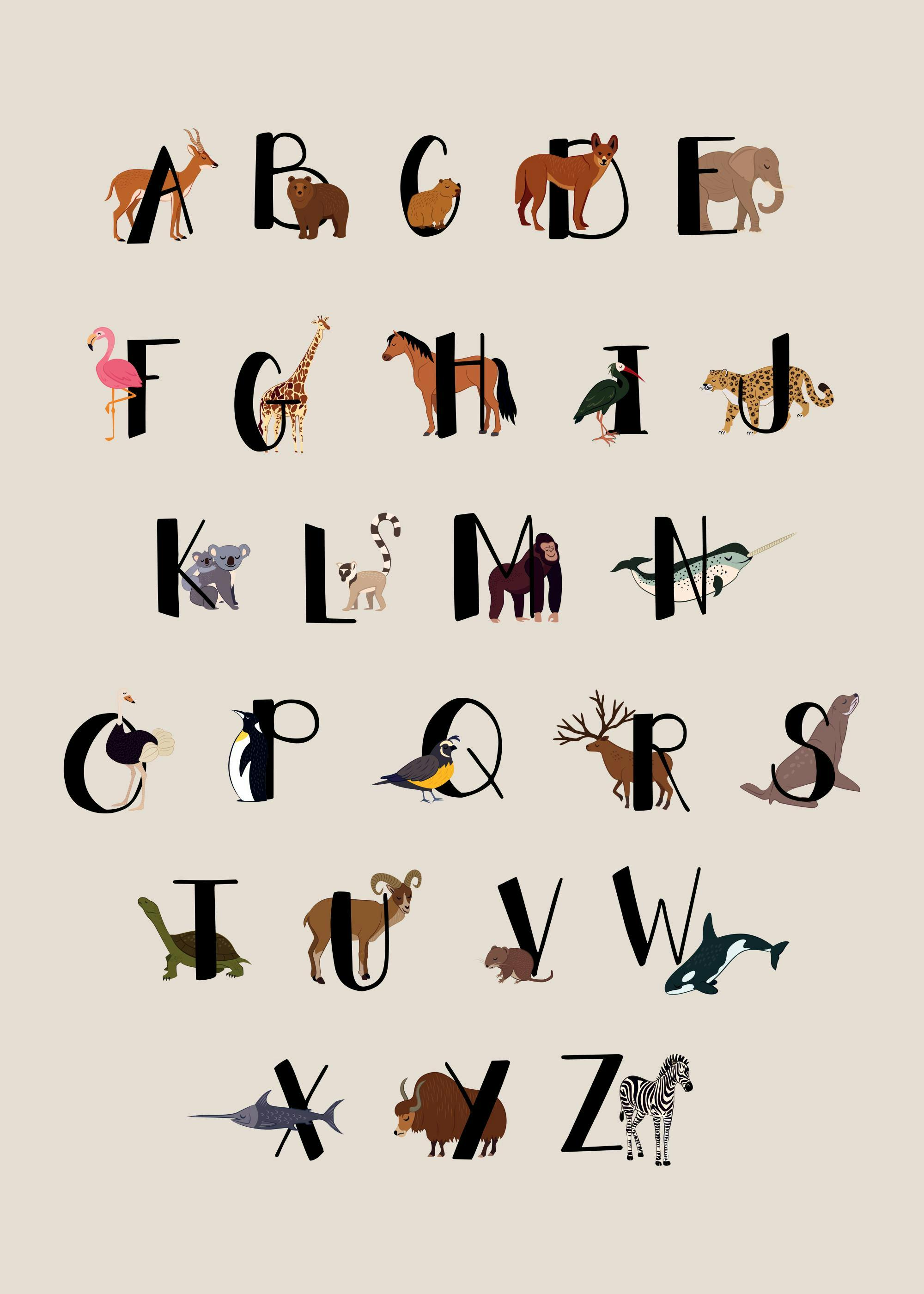 Animals Of The World Alphabet Poster 0