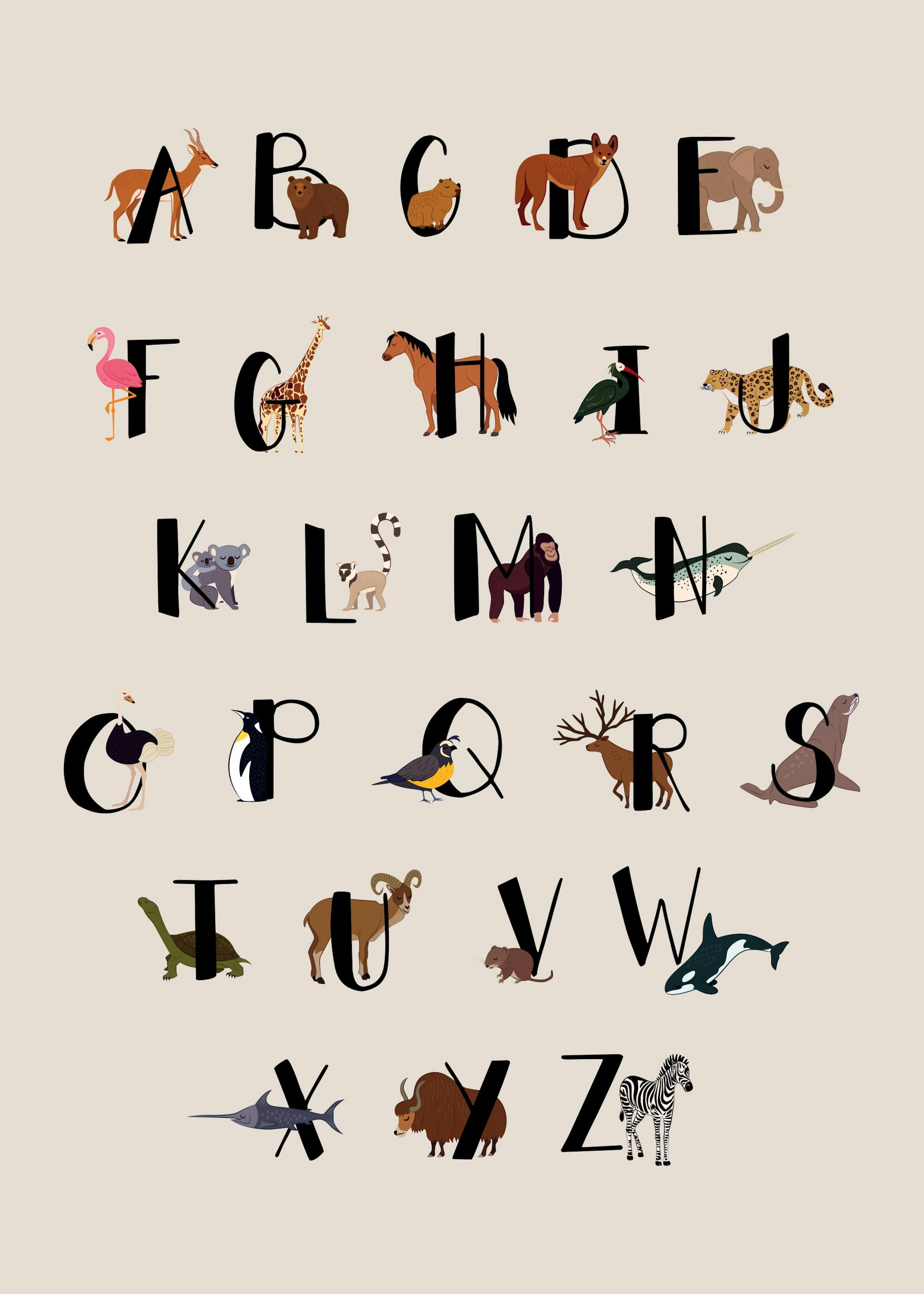 Animals Of The World Alphabet Poster 0