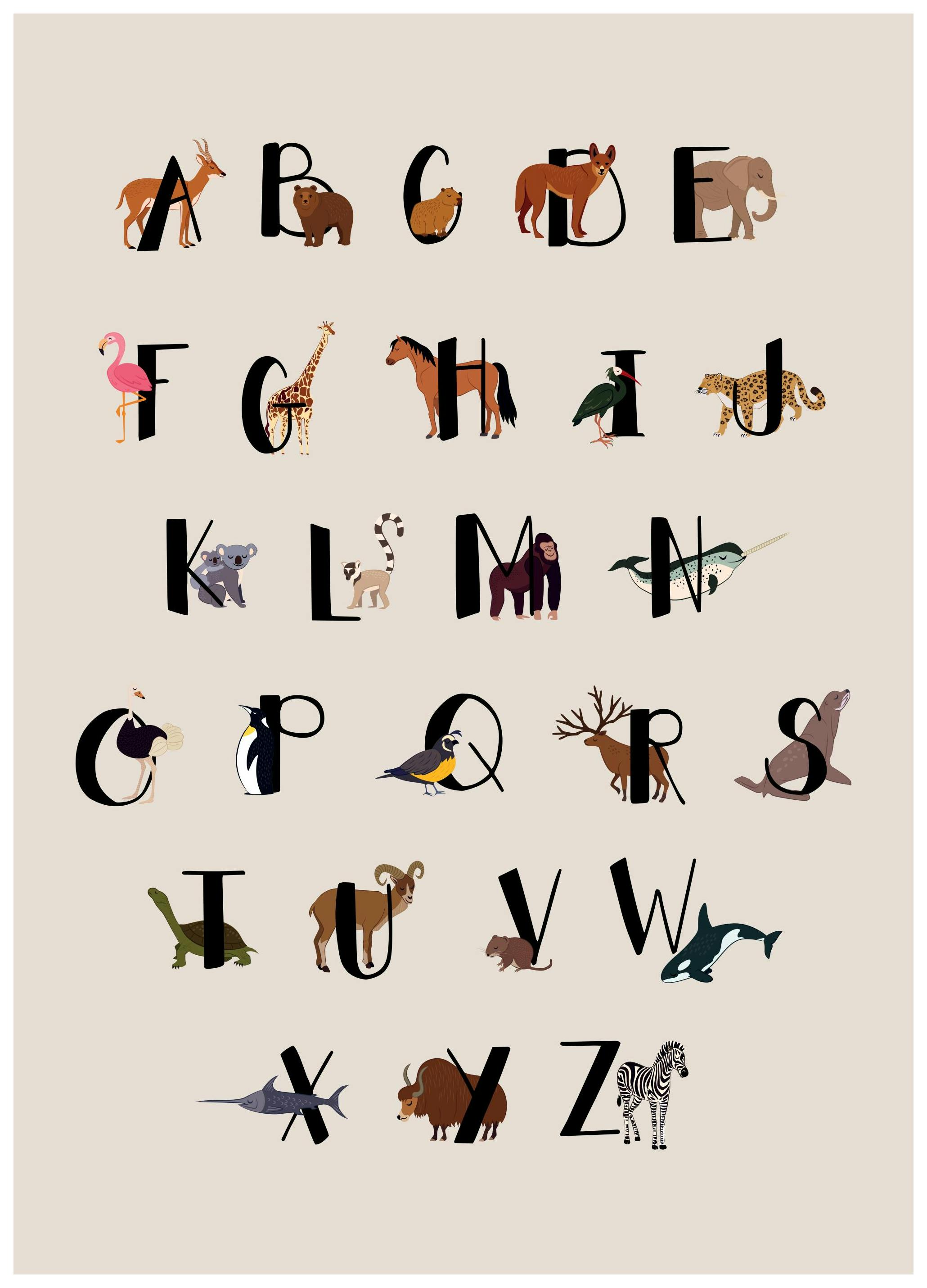 Animals Of The World Alphabet Plakat (30x40 cm)- Plakaty dla dzieci