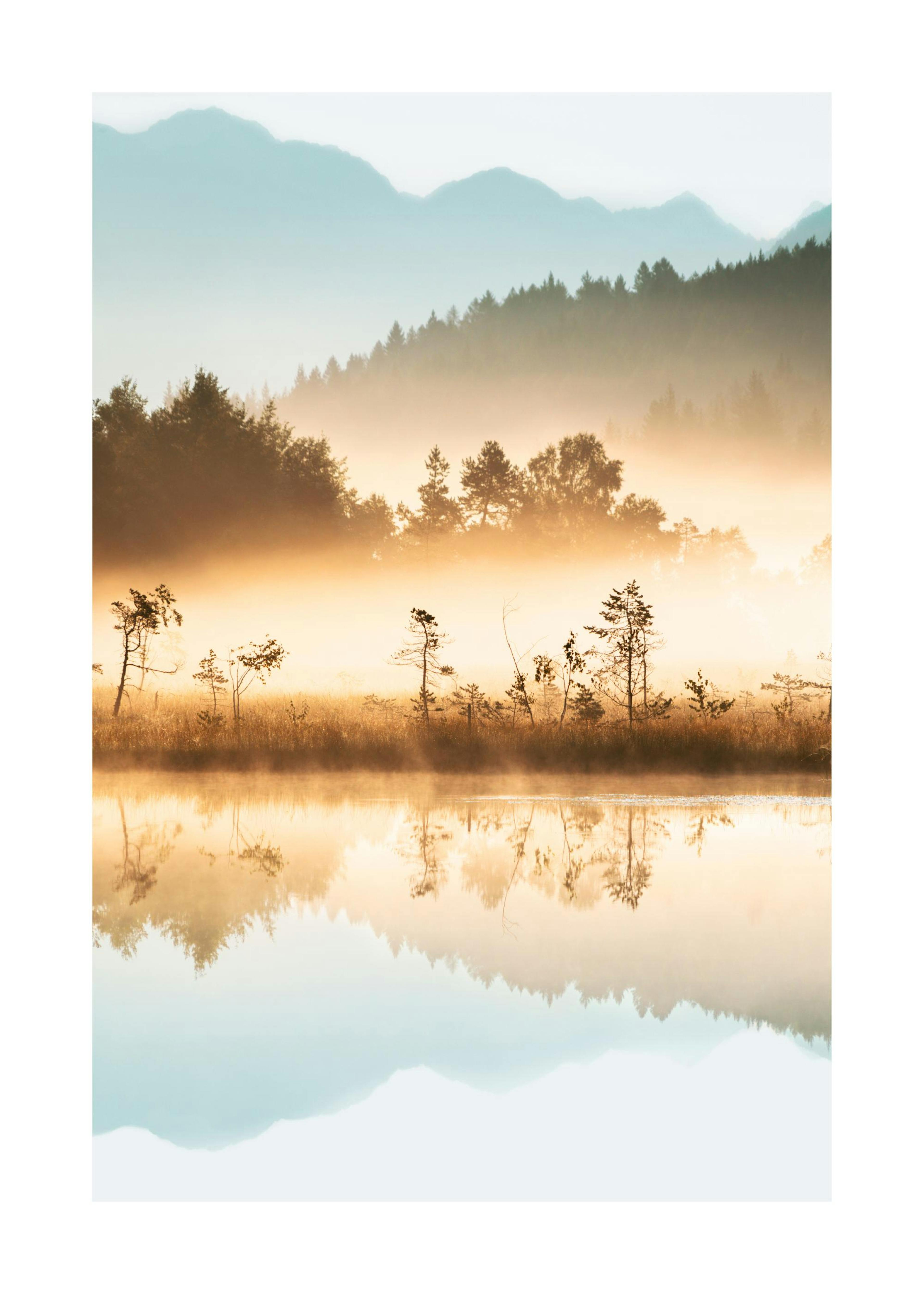 Misty Sunrise Poster 0