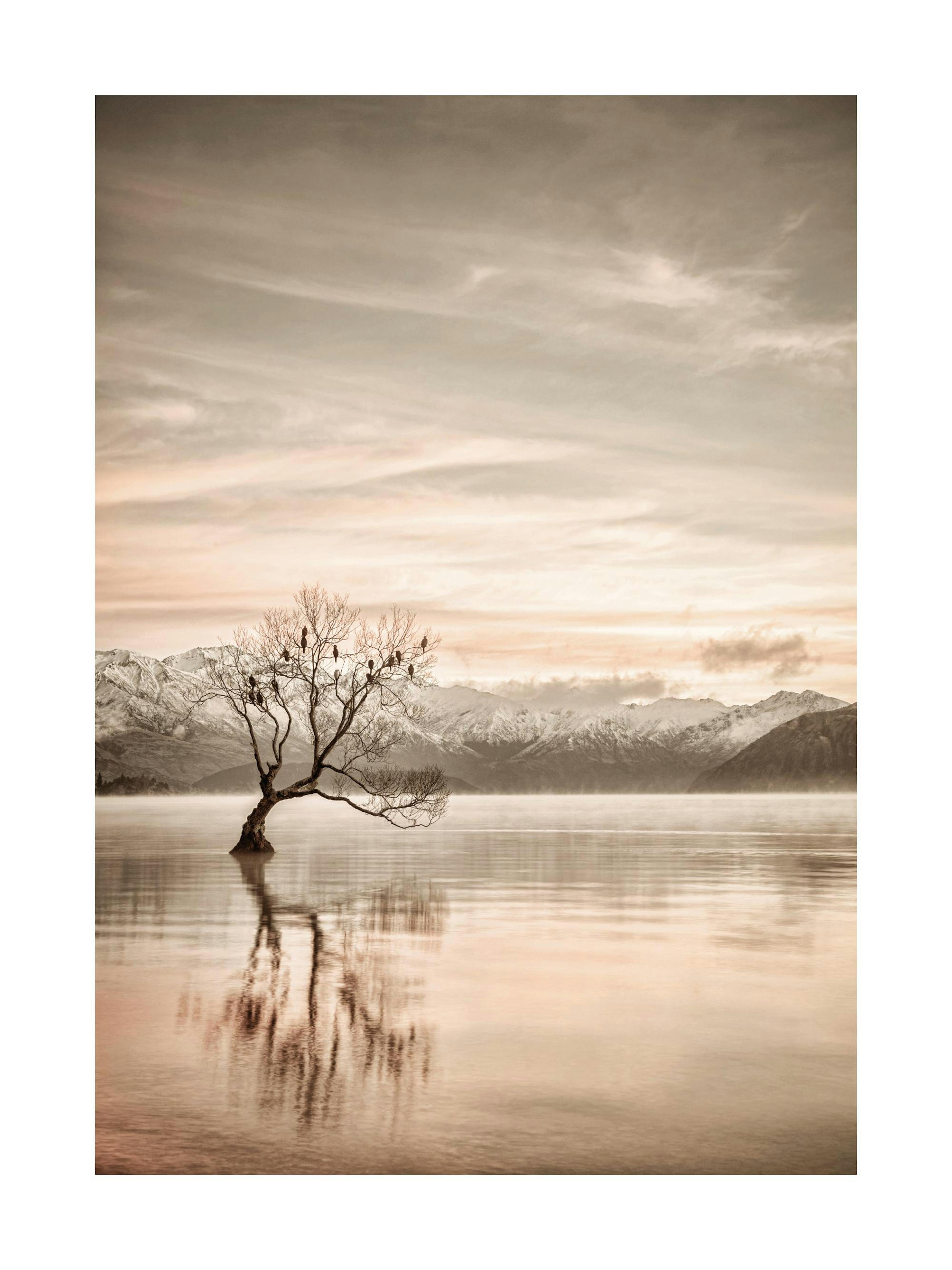 Lake Wanaka Otago Print