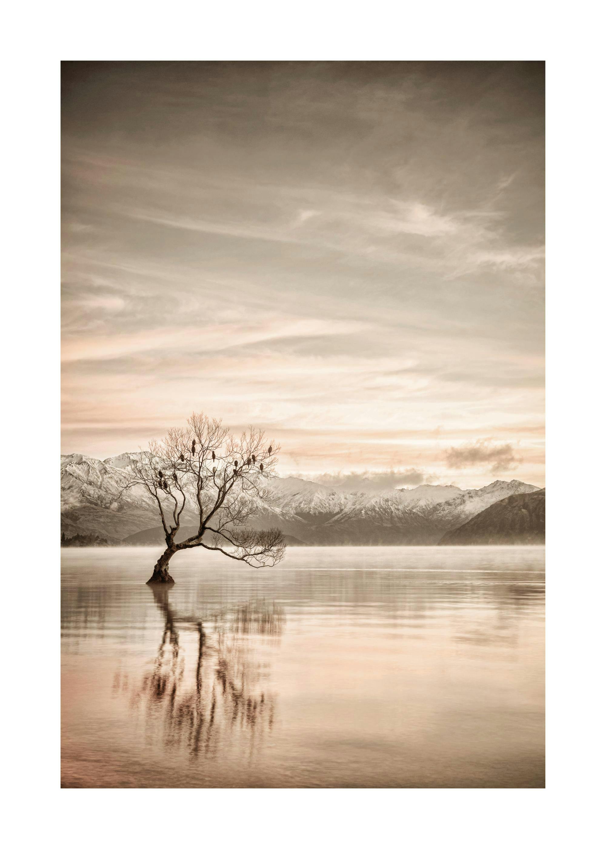 Lake Wanaka Otago Print 0