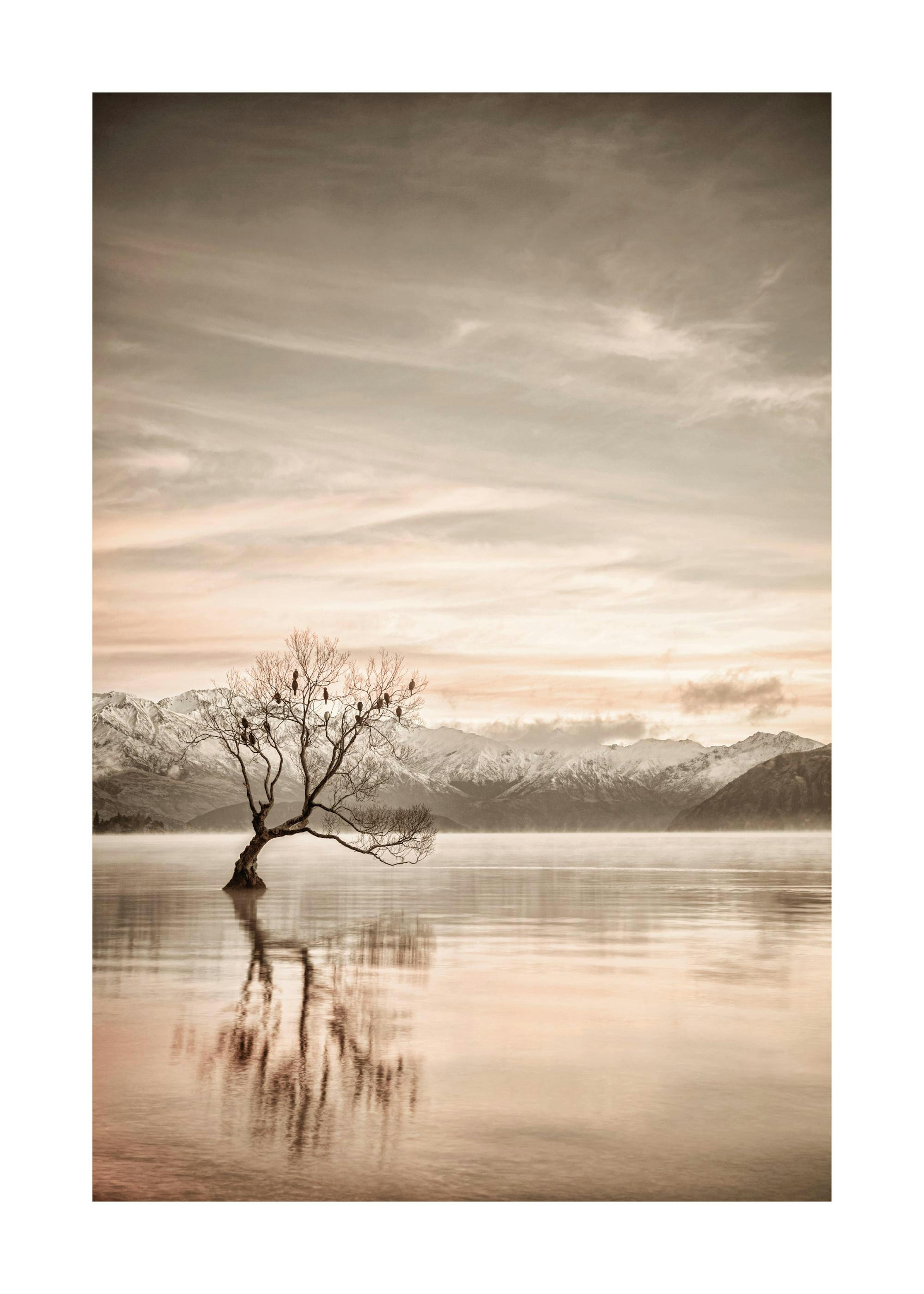 Lake Wanaka Otago Print 0