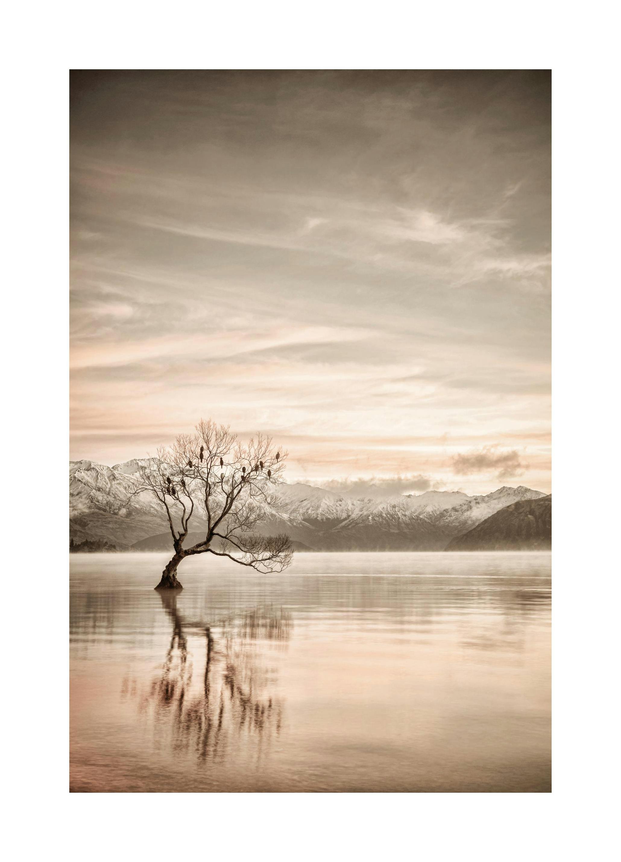 Lake Wanaka Otago Poster (30x40 cm)- Fotografias e posters do mar