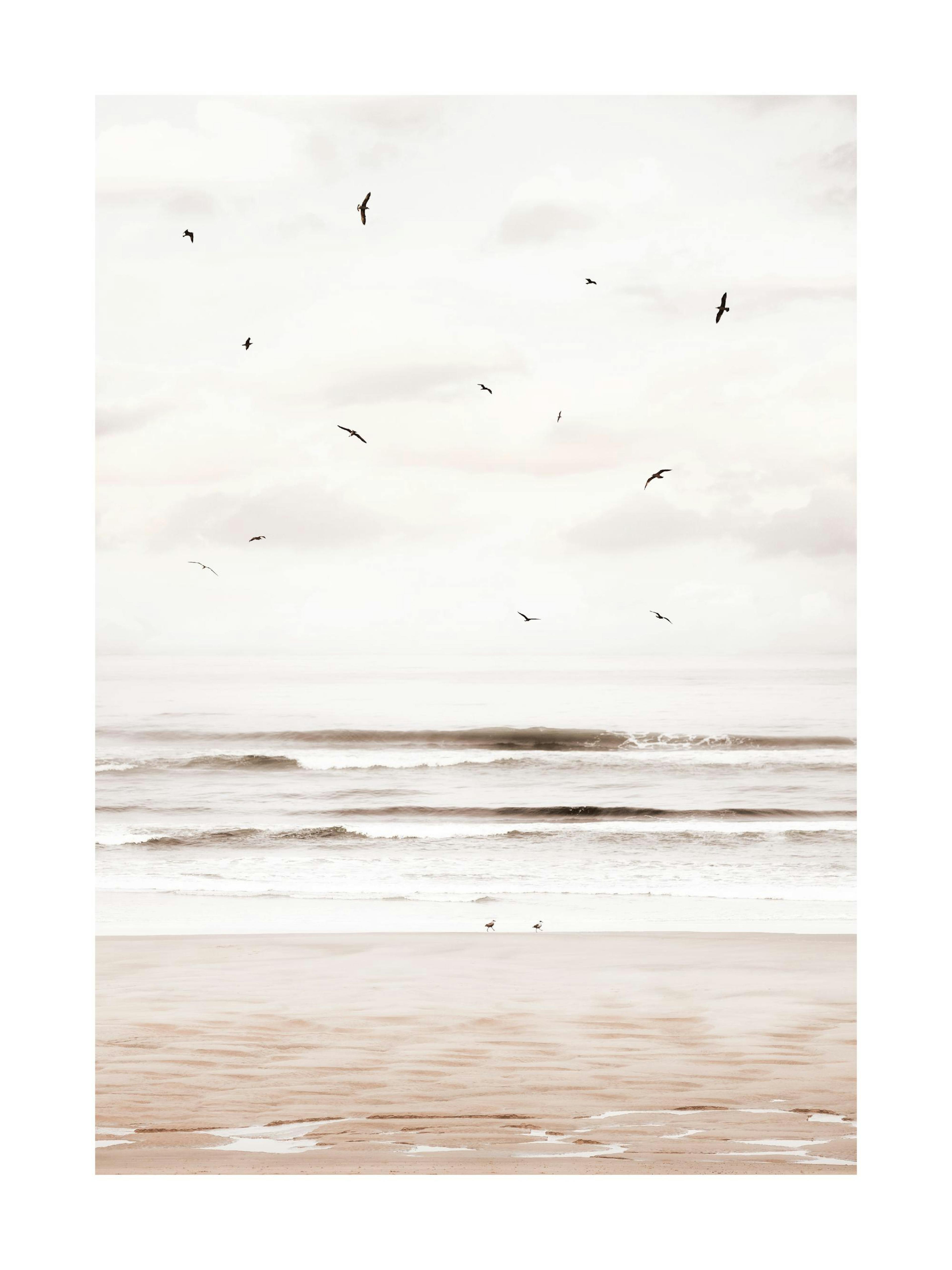 Cannon Beach Poster