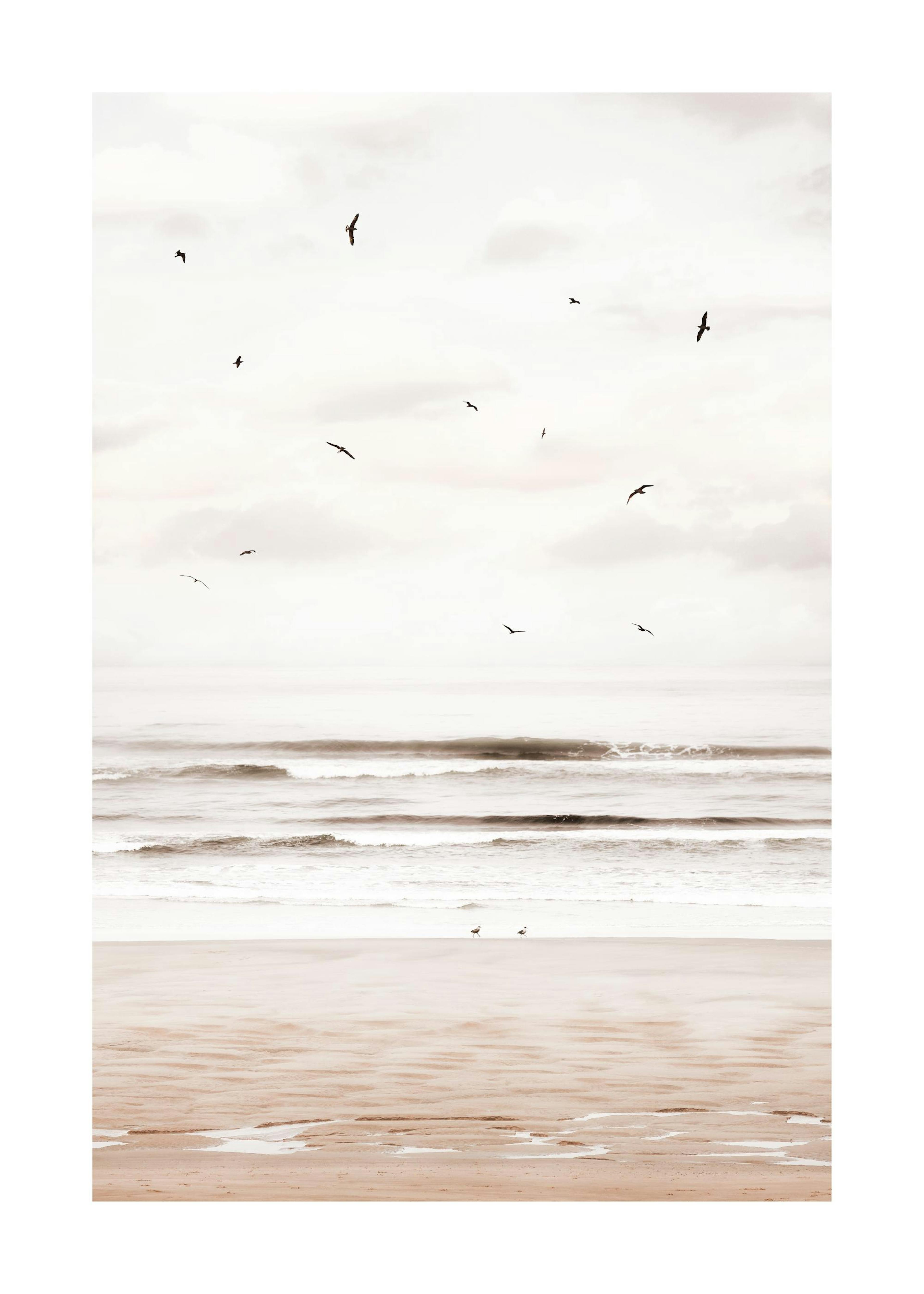 Cannon Beach Poster 0
