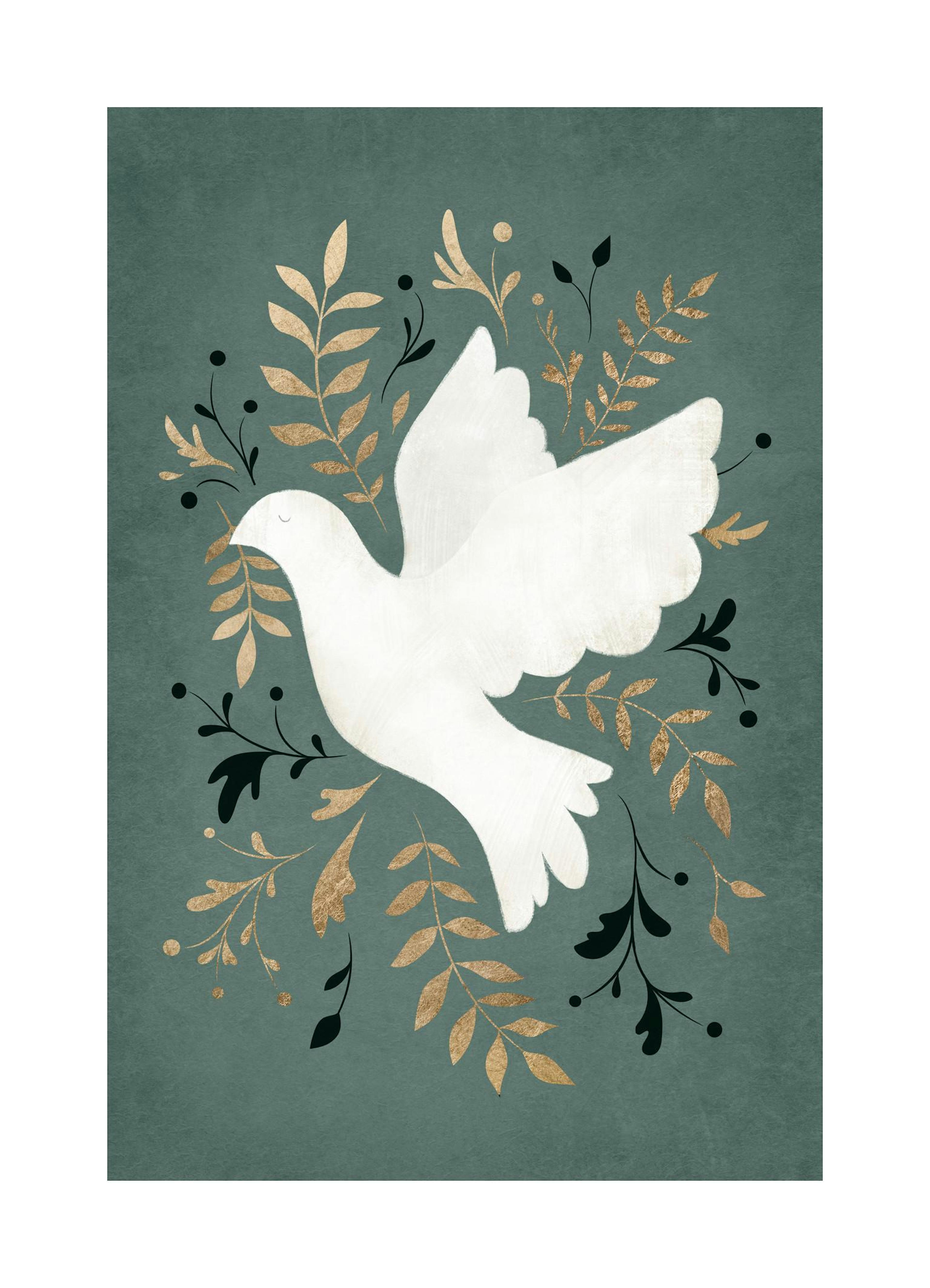 Peace Dove Plakat