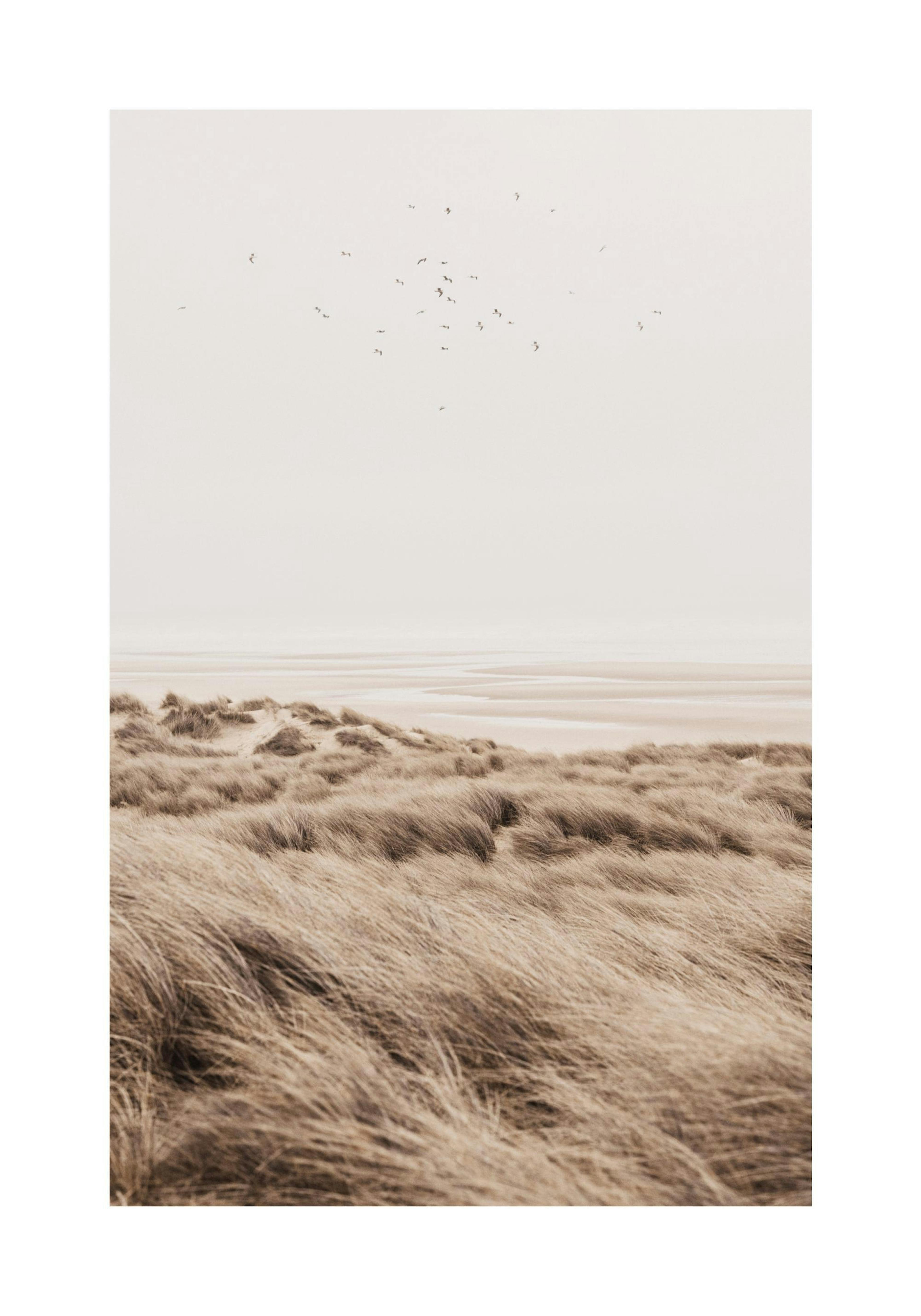 Beige Sand Dunes Print