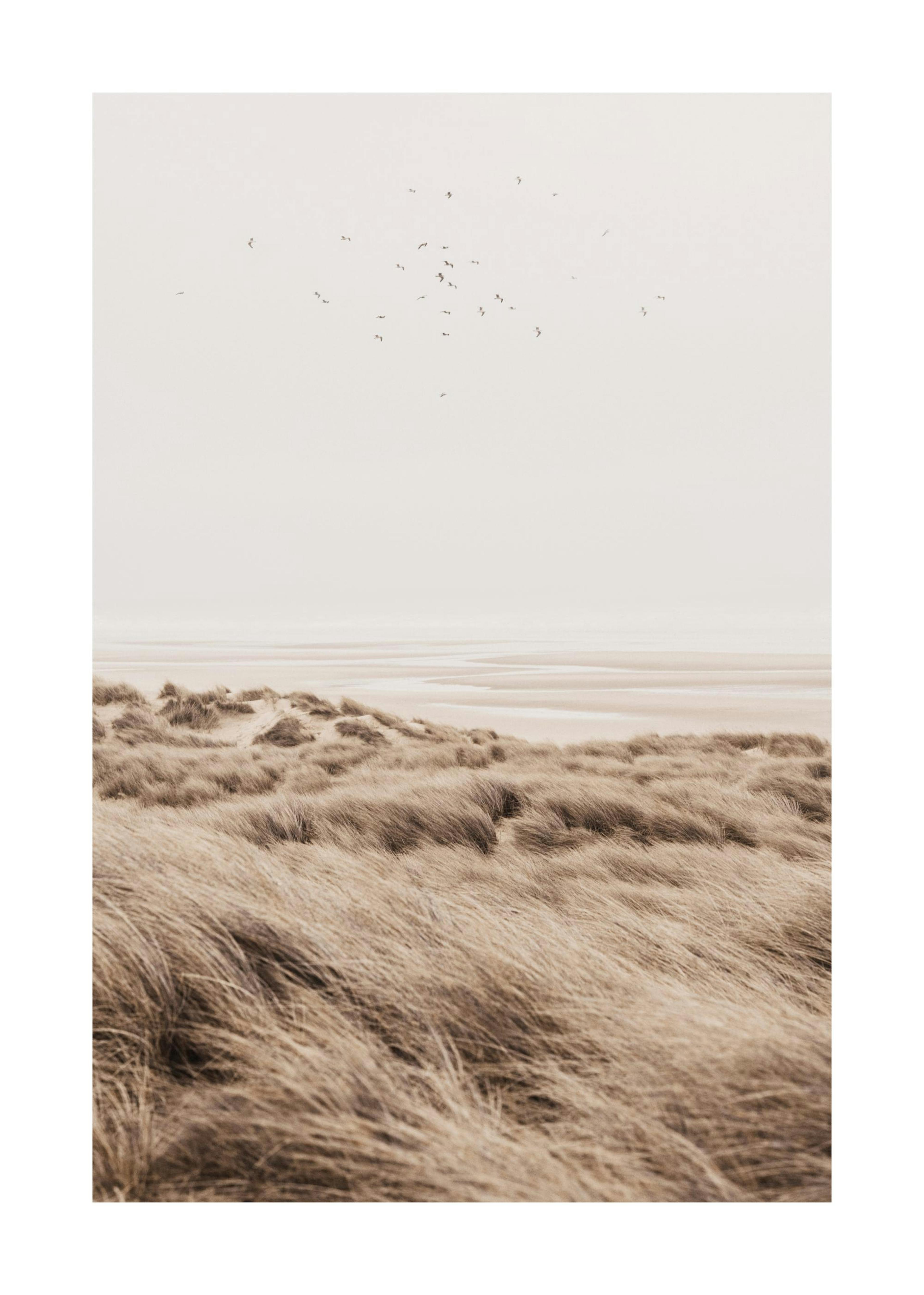 Beige Sand Dunes Print 0