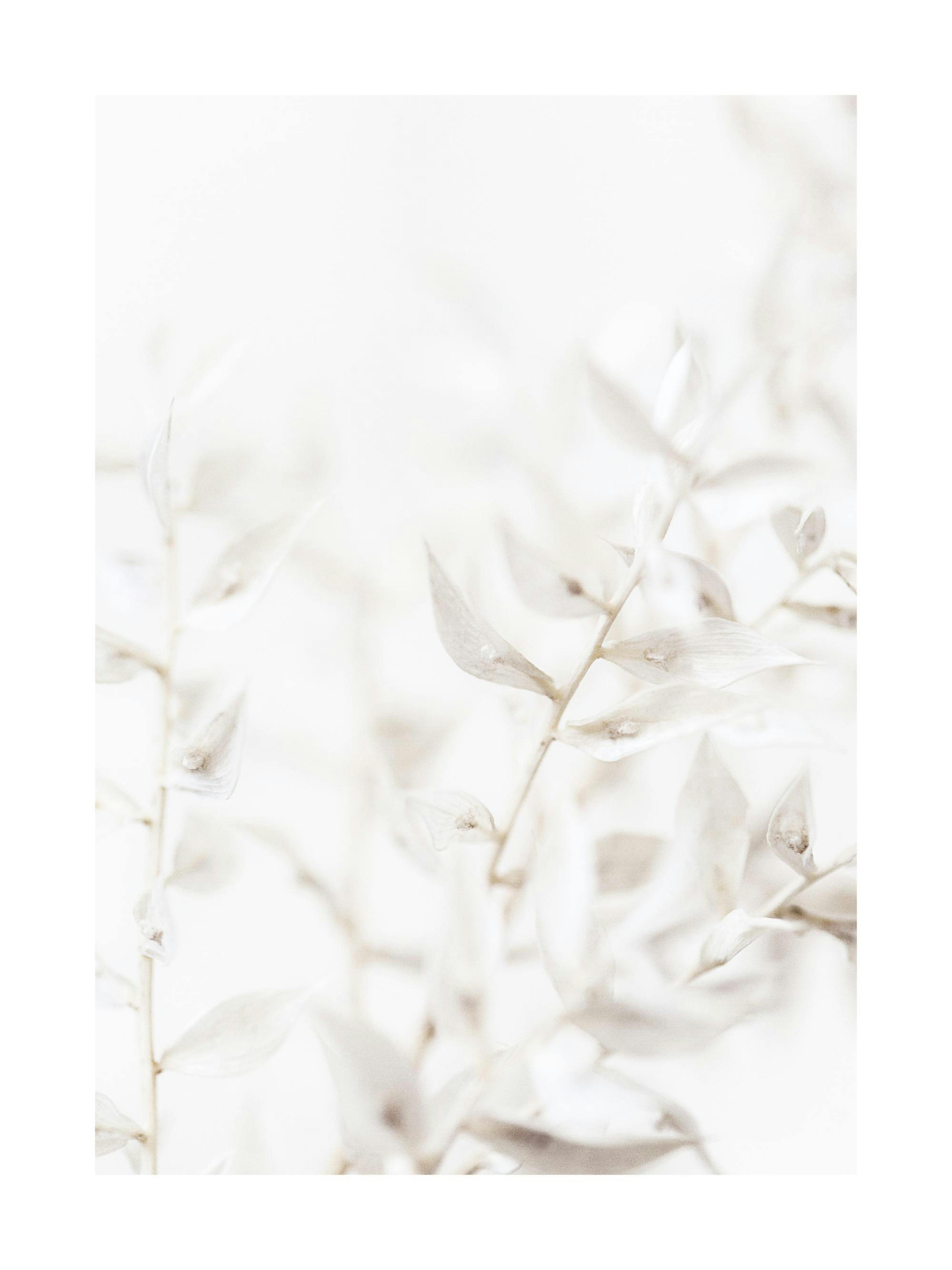 Soft Leaves Print