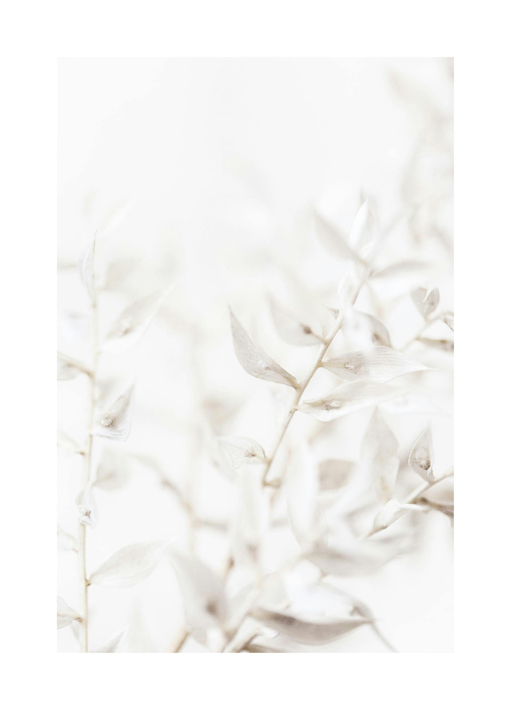 Prints - Soft Leaves Print (30x40 cm) - Botanical prints