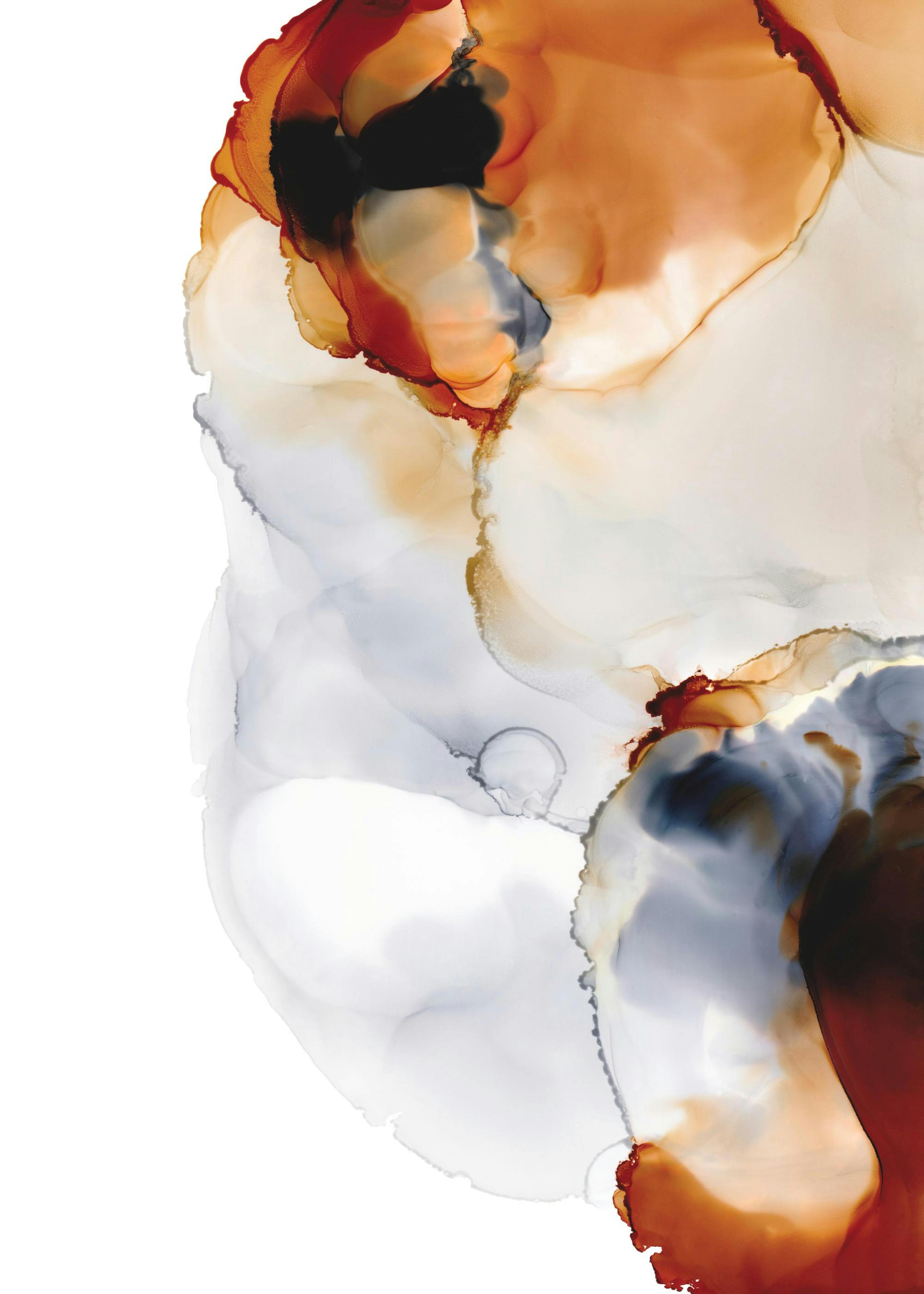Abstract Color Flow No3 Print 0