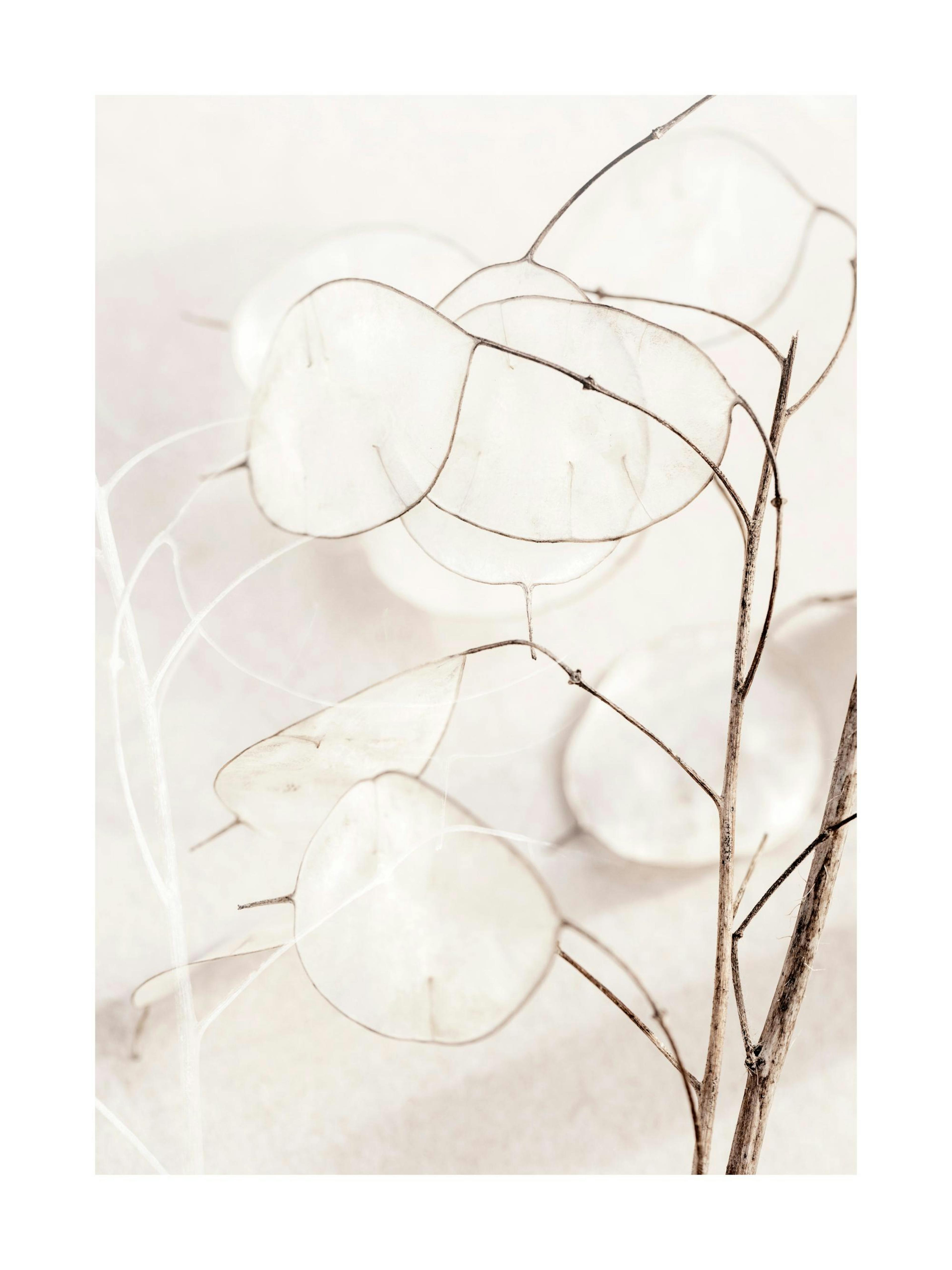 Product image: 1