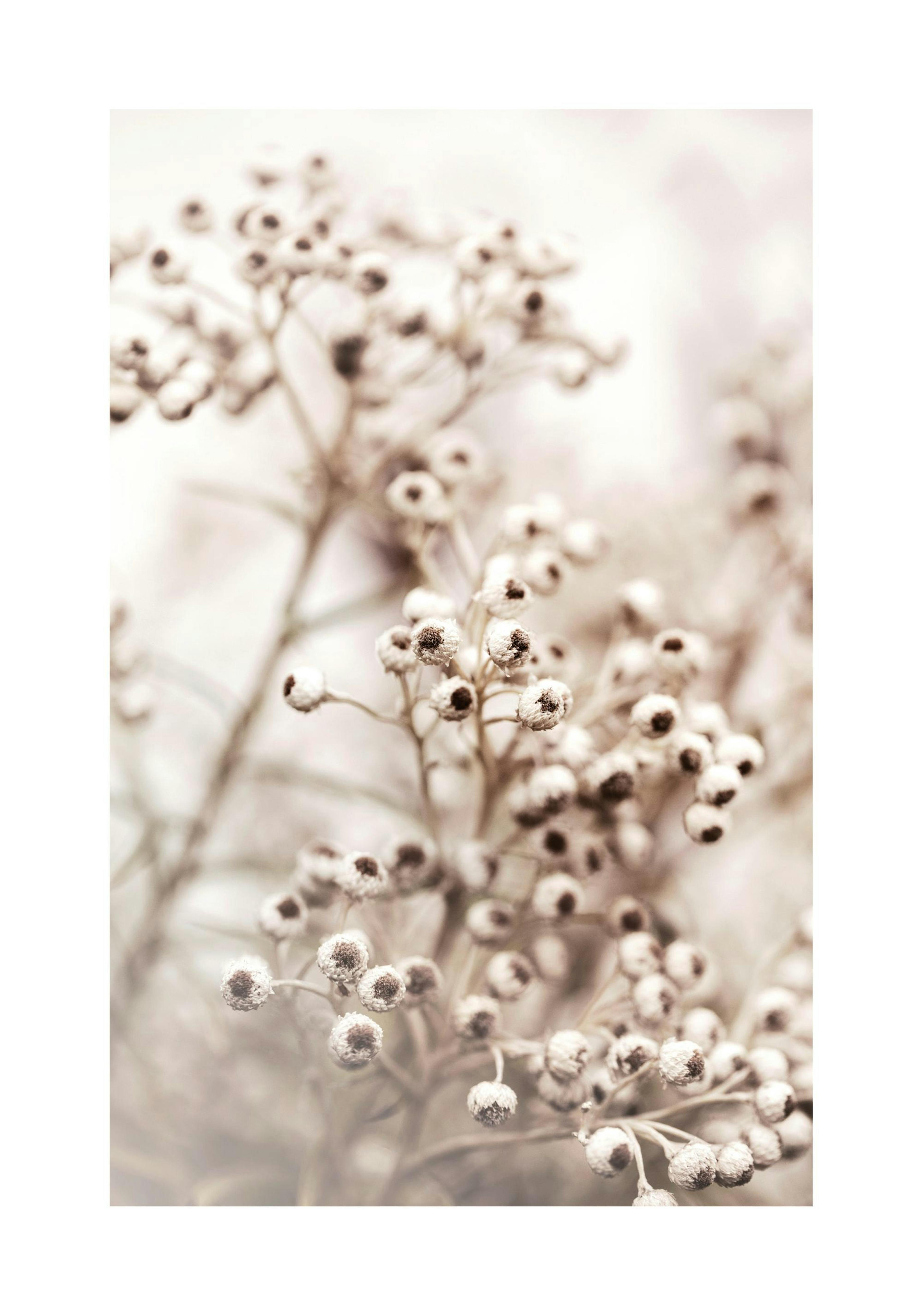 Beige Botanical Bokeh No2 Print