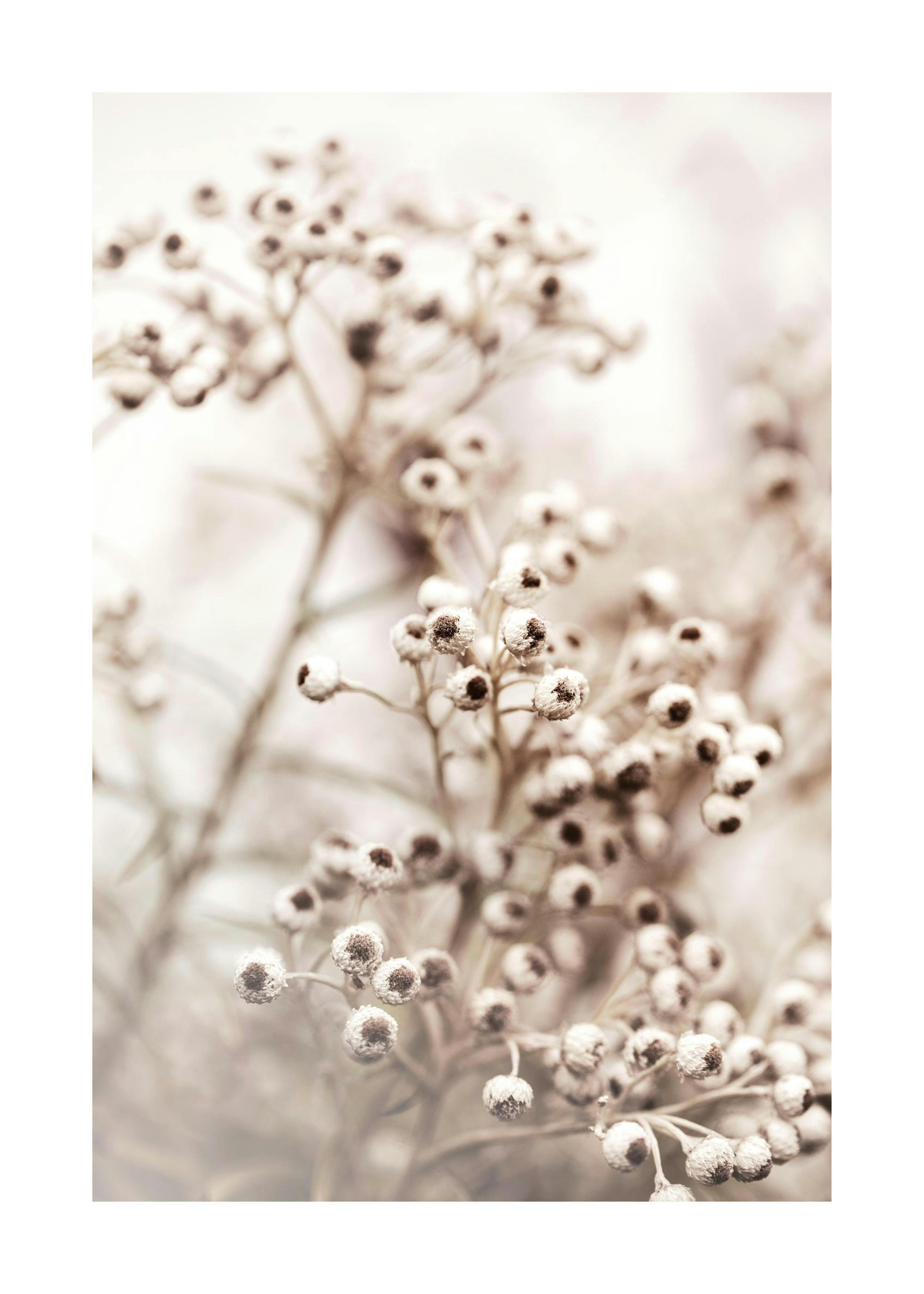 Beige Botanical Bokeh No2 Print 0