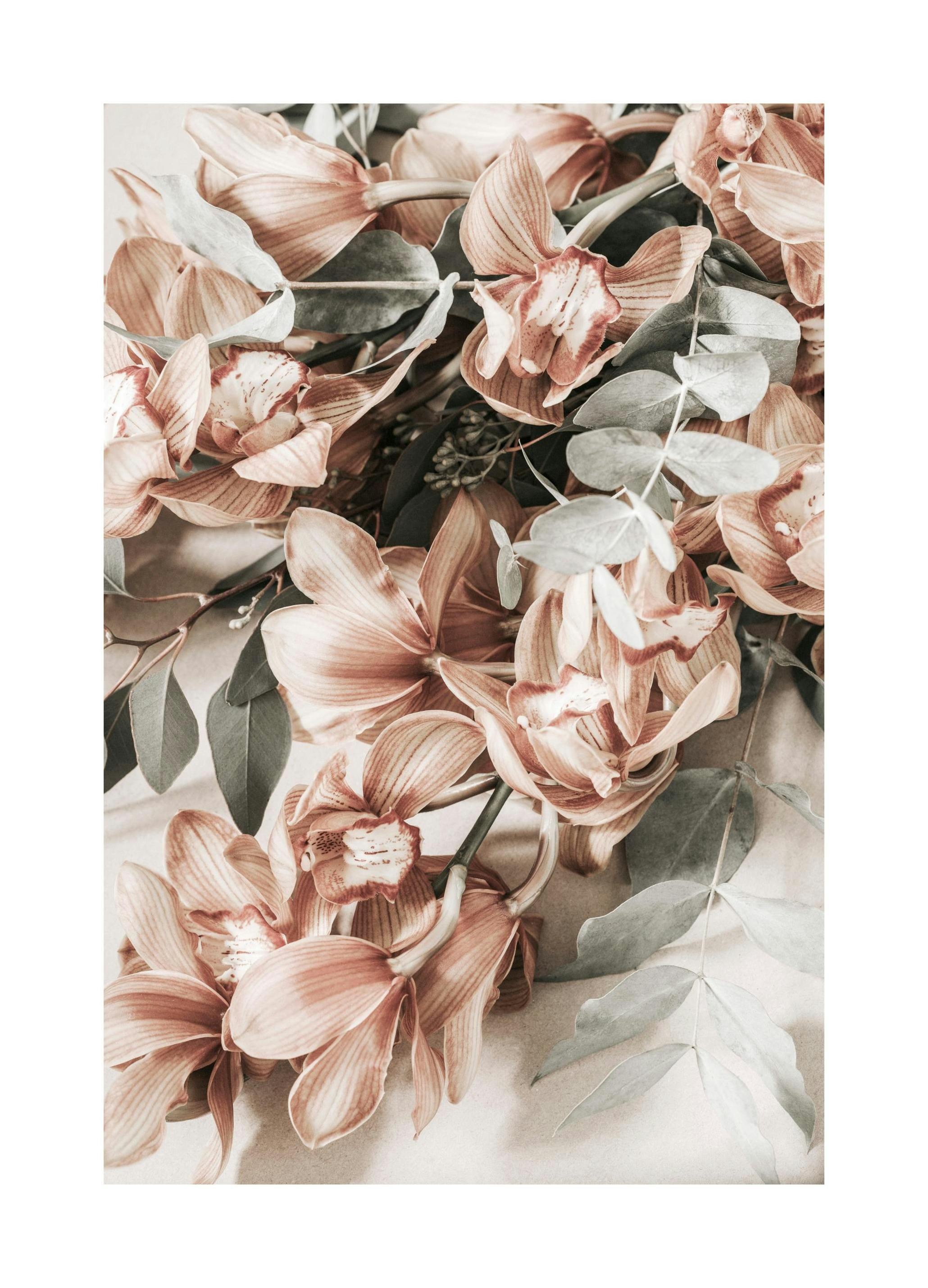 Prints - Autumn Floral No1 Print (50x70 cm) - Botanical prints