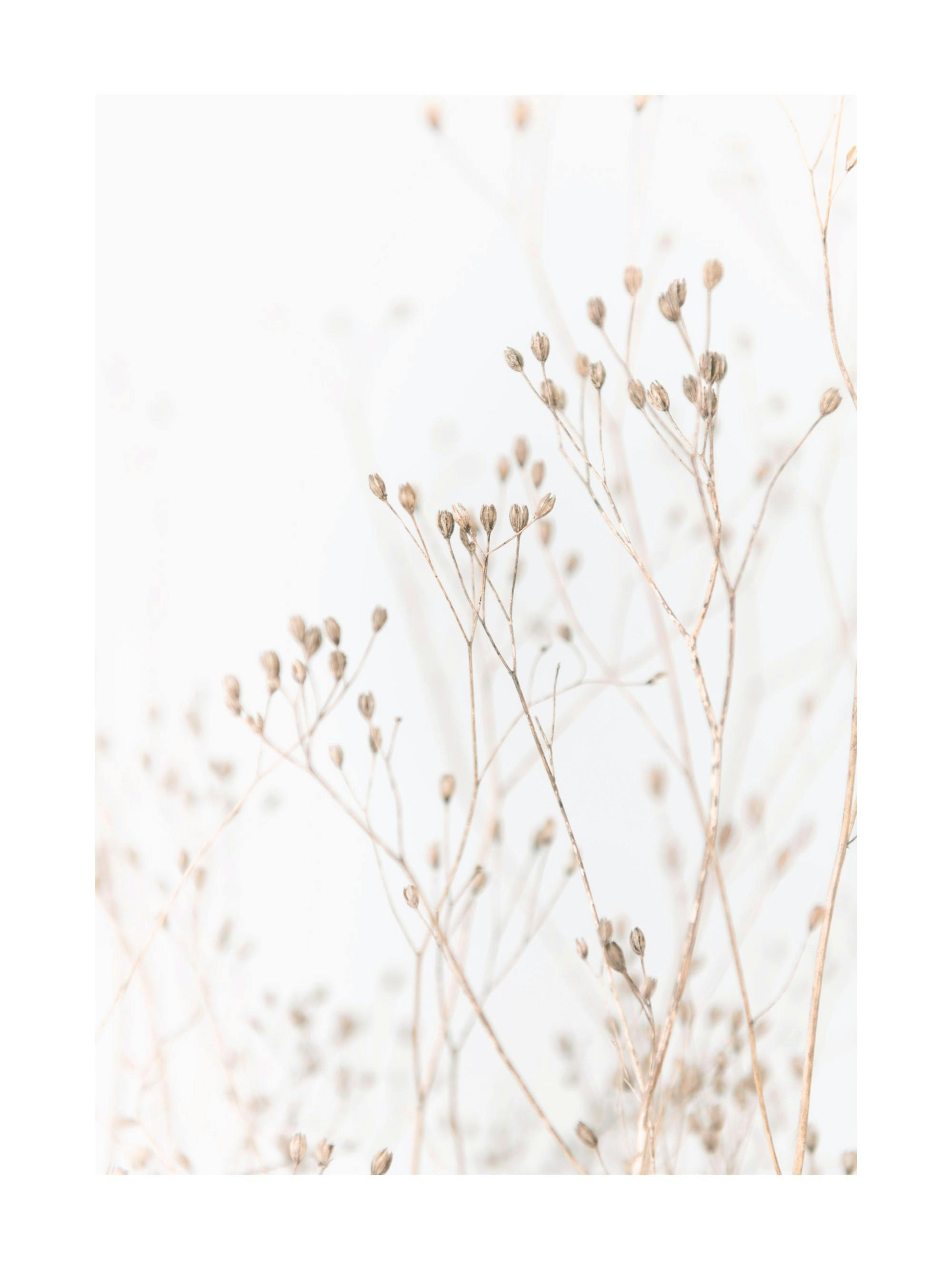Grass In Soft Tones Print