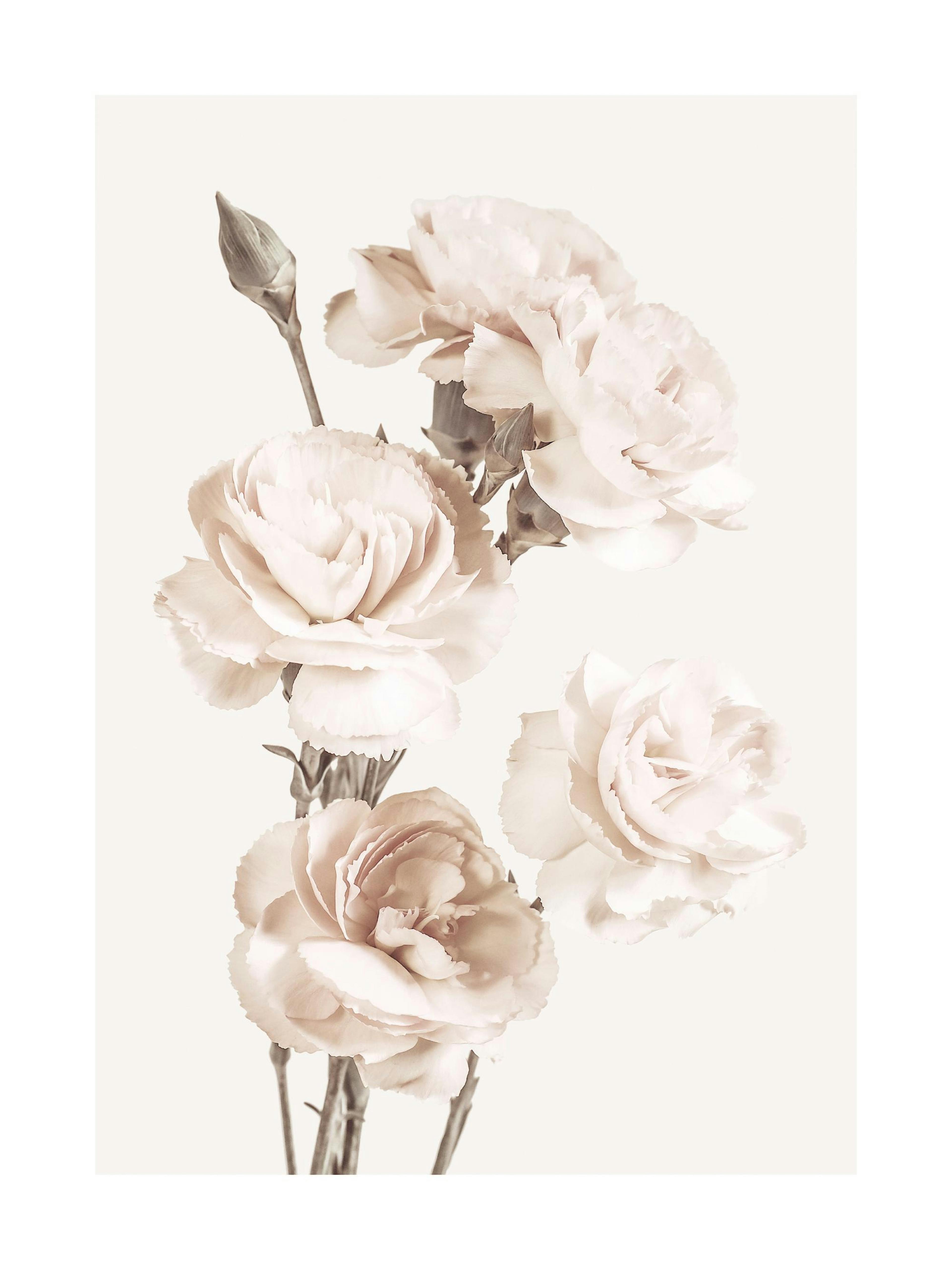 The Beauty Of Flowers Print