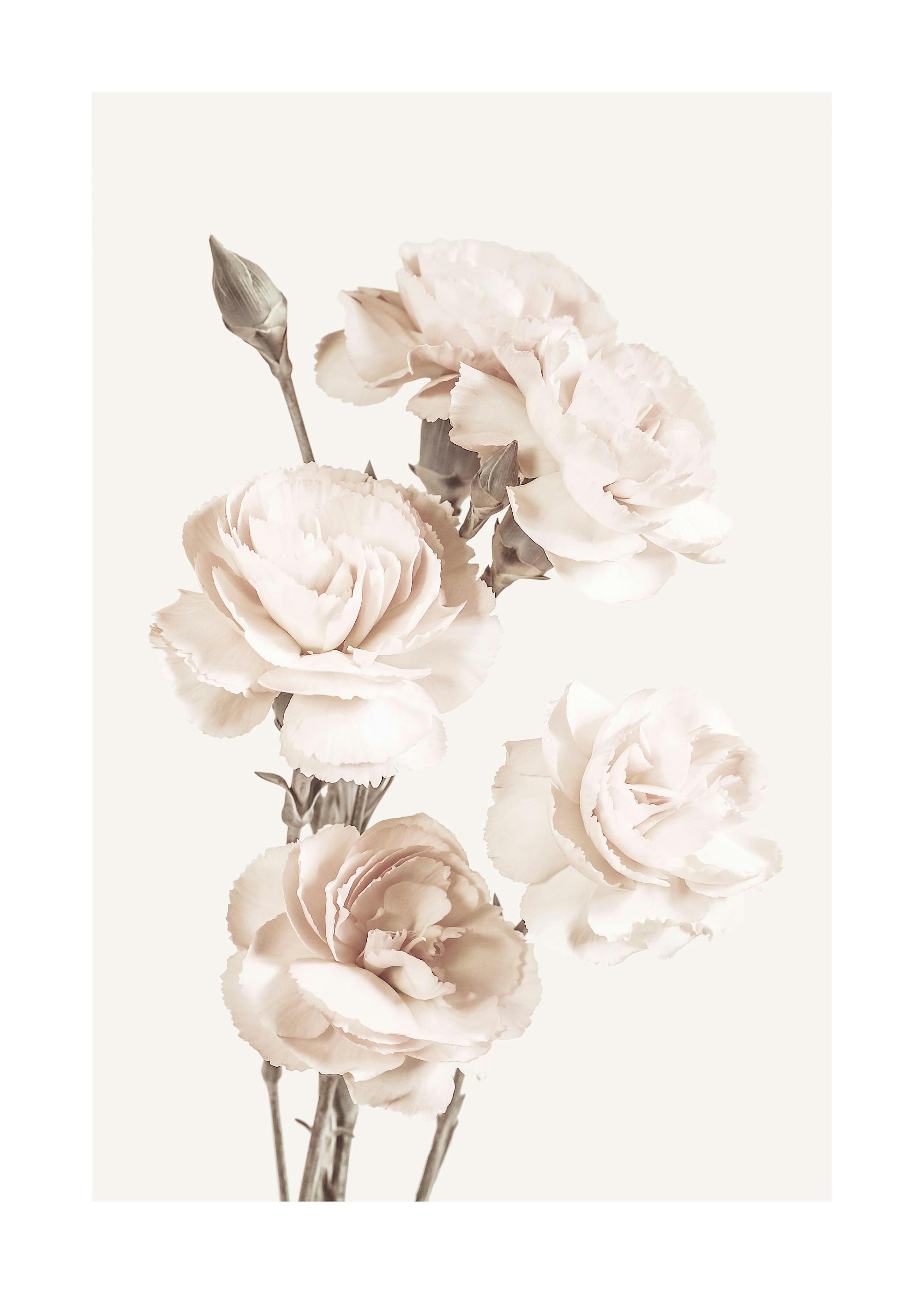 The Beauty Of Flowers Poster 0