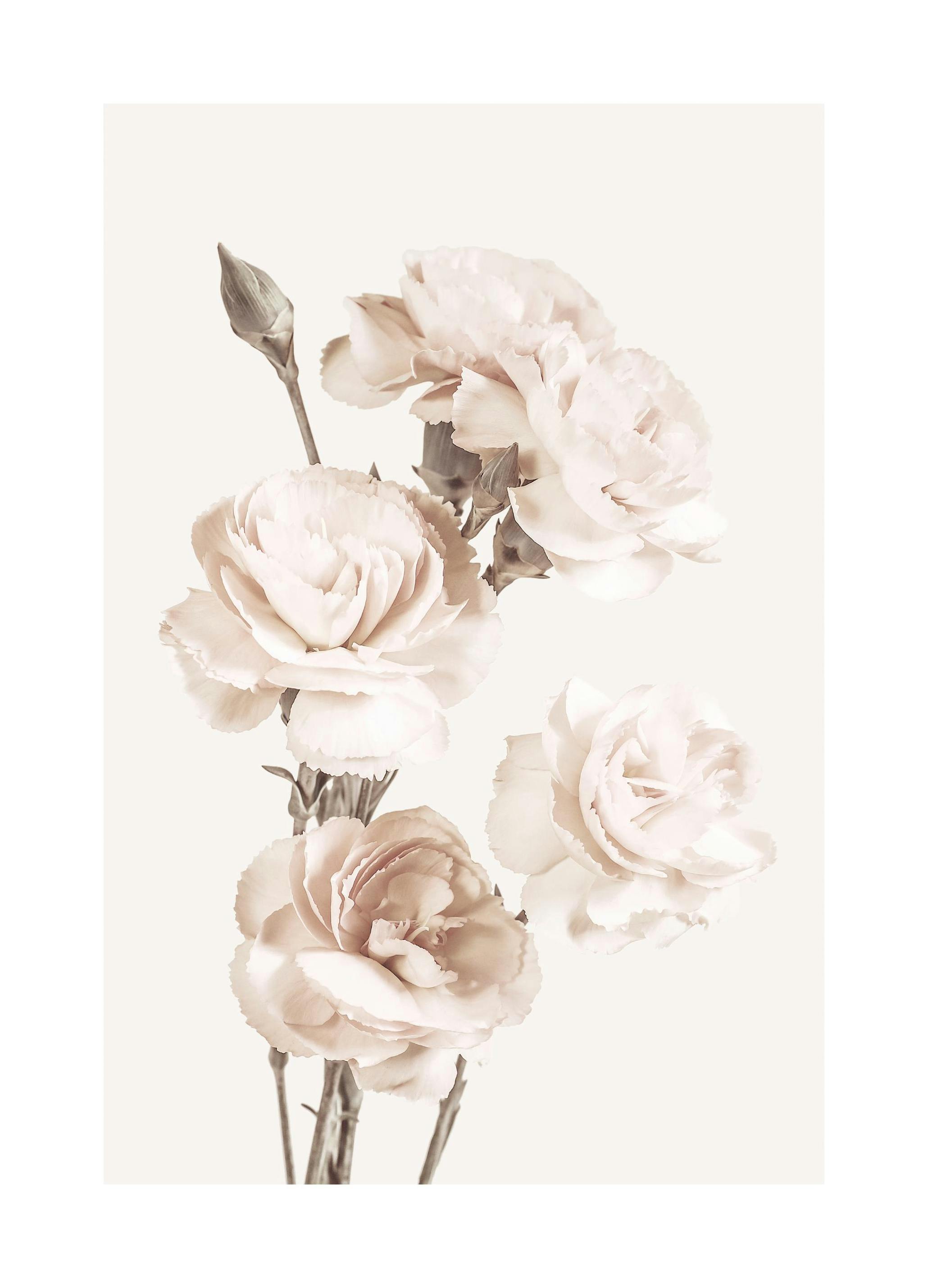 Prints - The Beauty Of Flowers Print (50x70 cm) - Floral prints