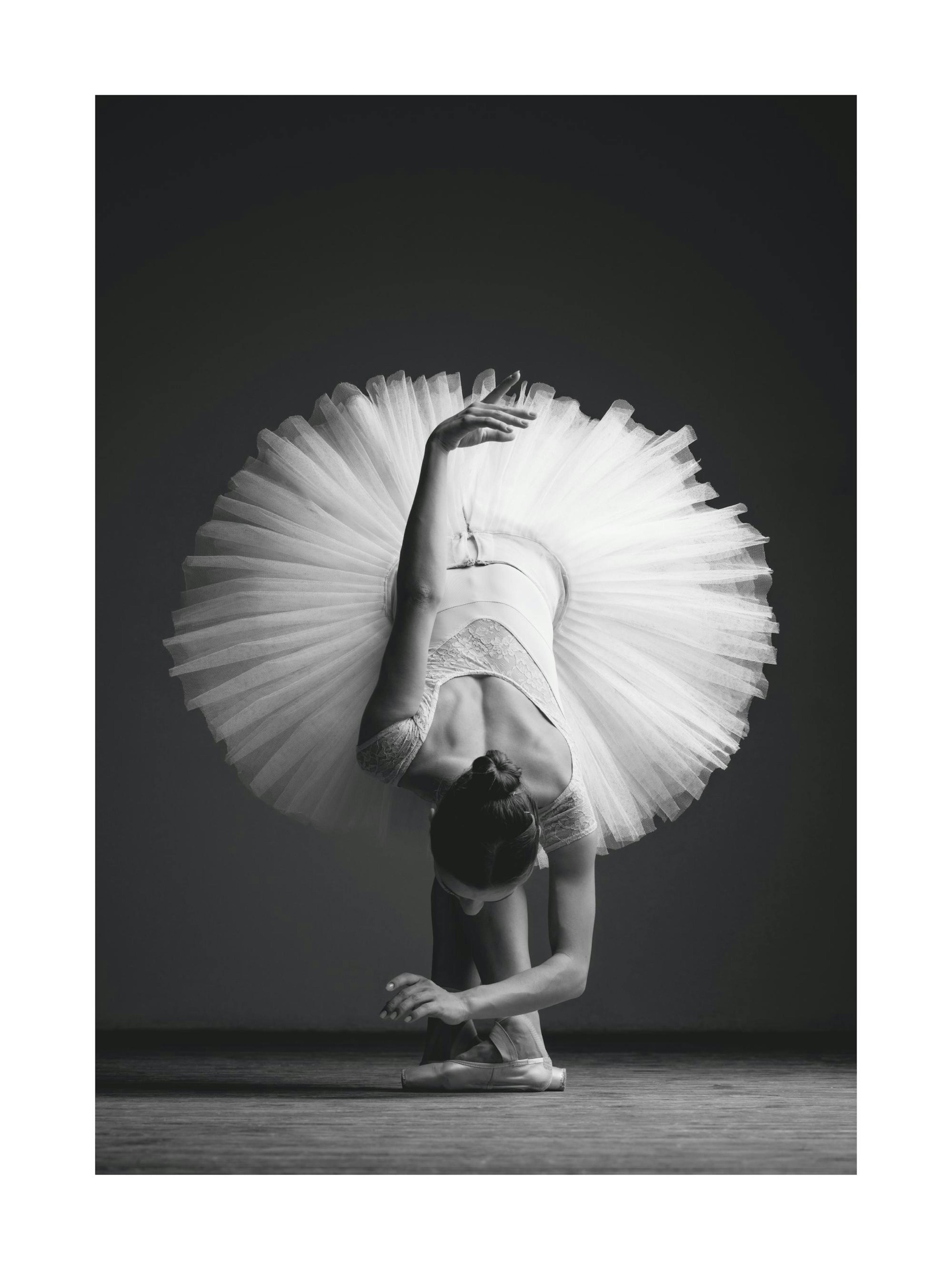 Elegant Ballerina Print