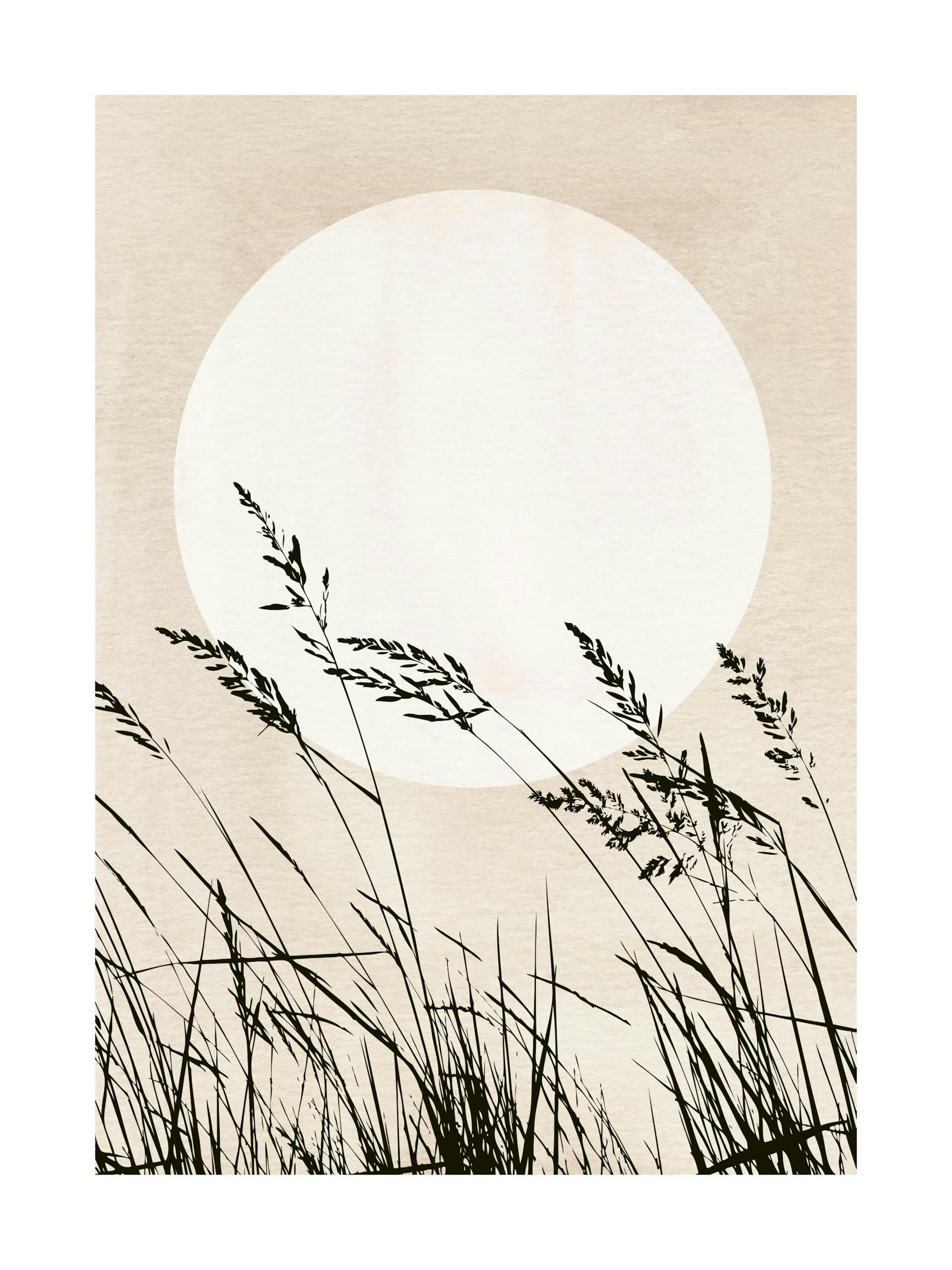 Sunset Reeds Print