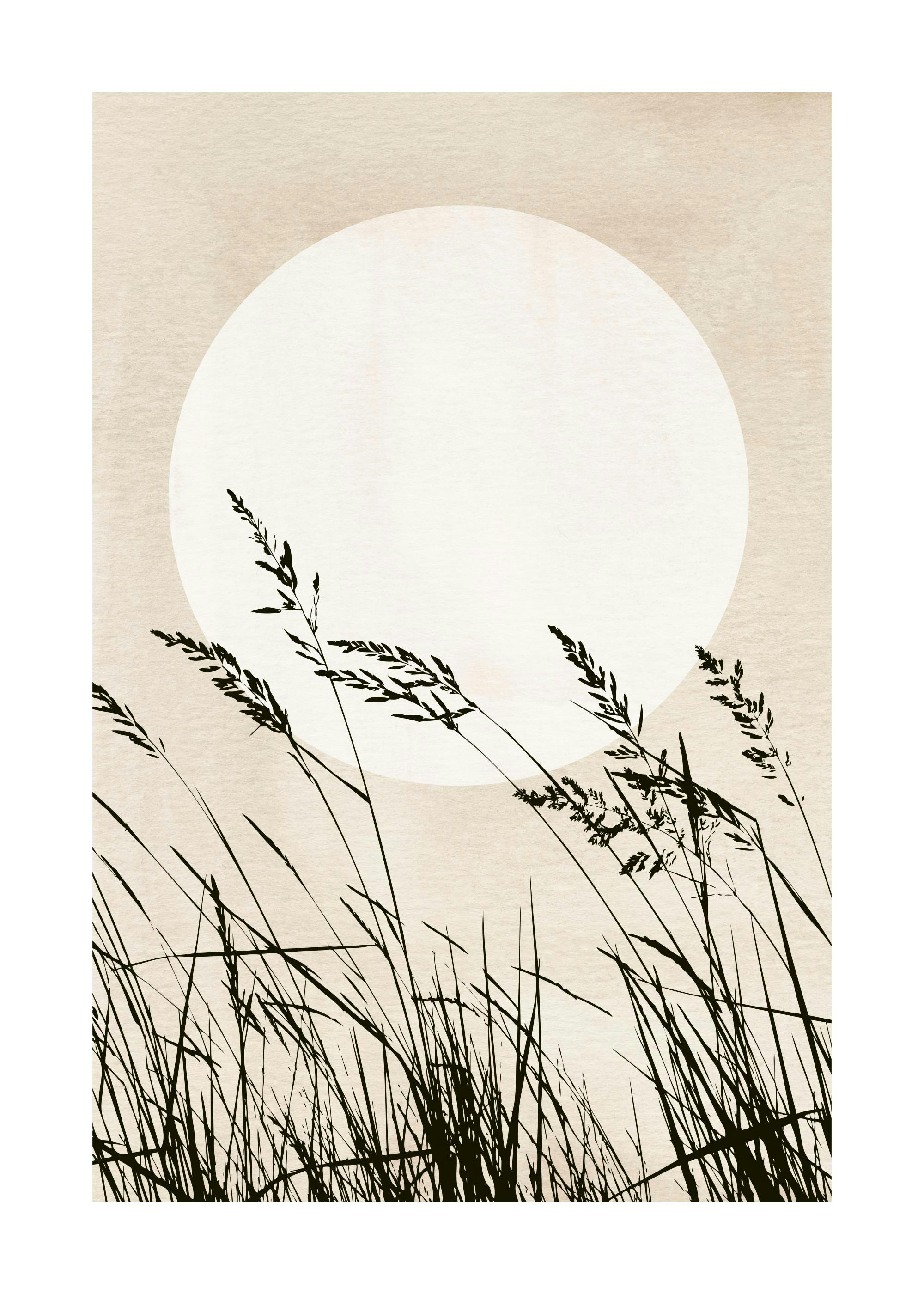 Sunset Reeds Print 0