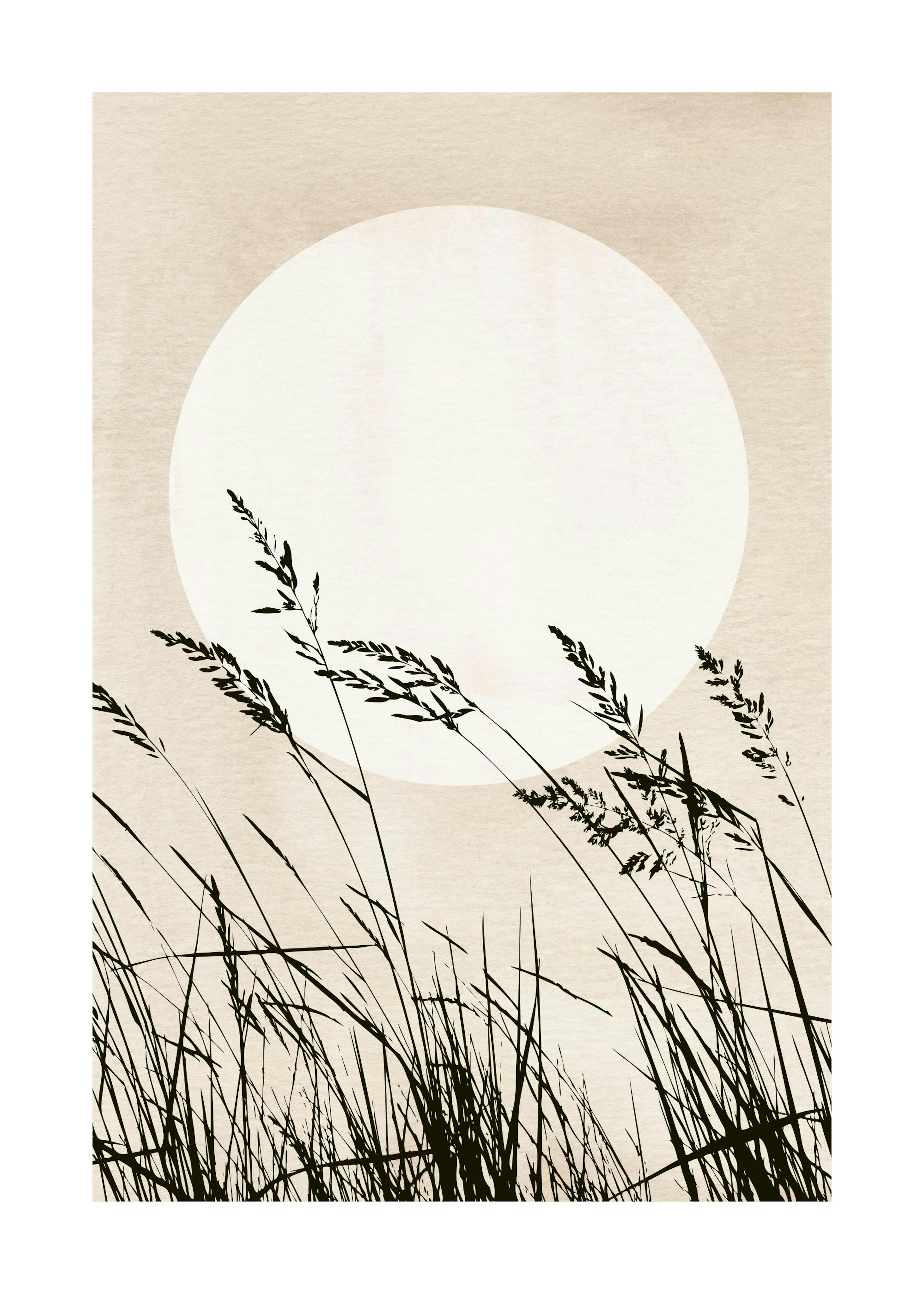 Sunset Reeds 포스터 0