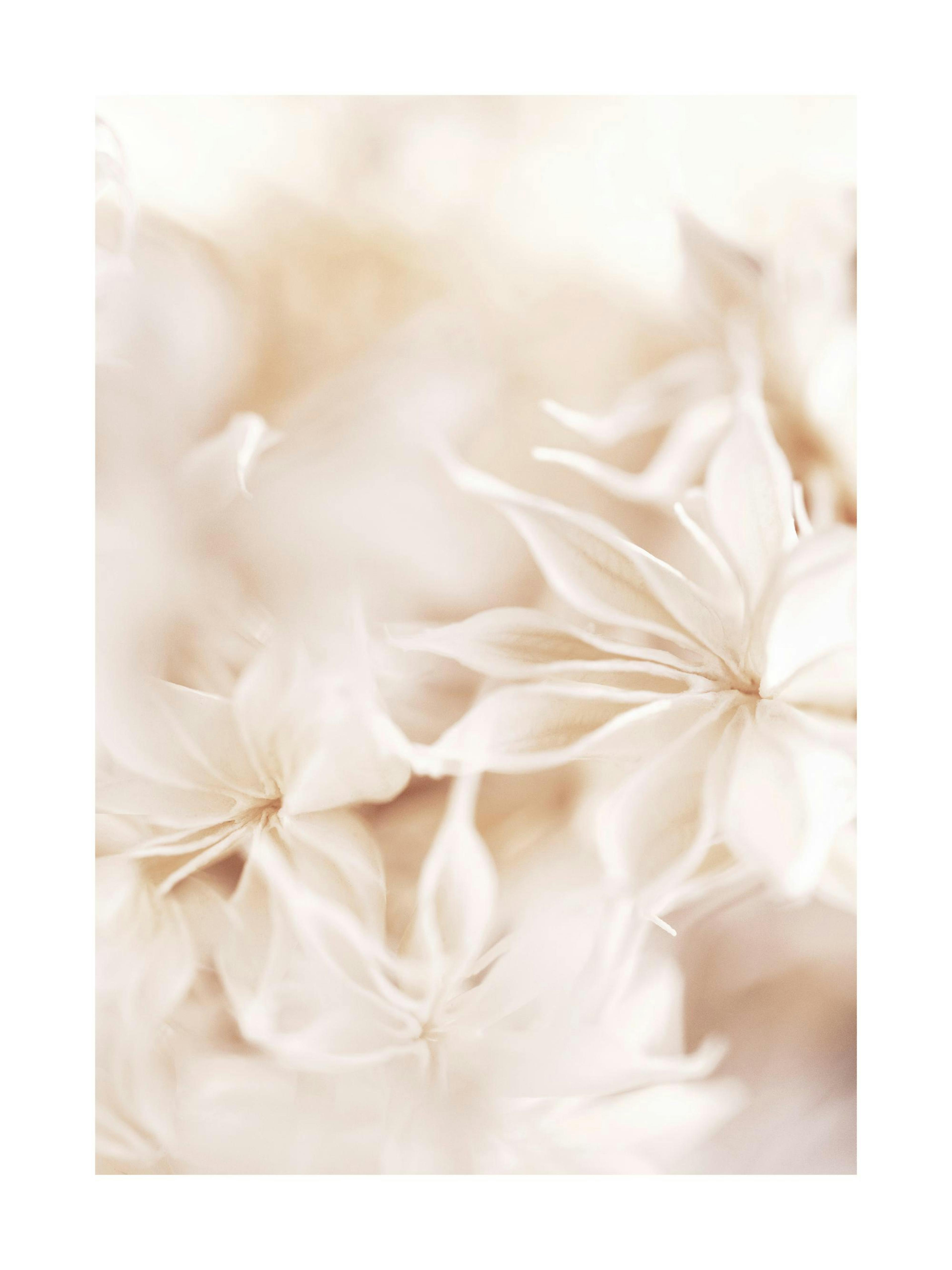 Product image: 1