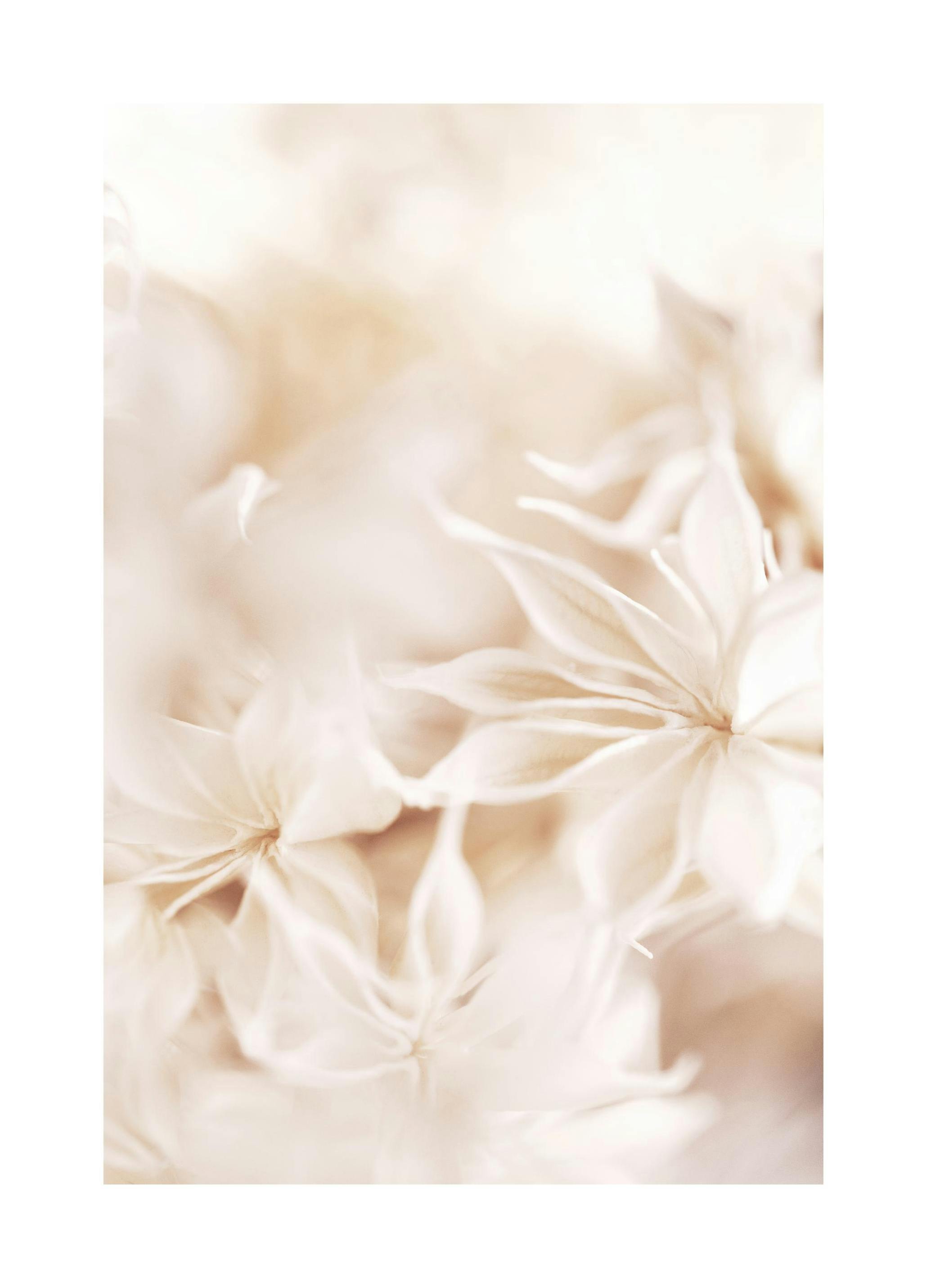 Floral Bokeh Poster (50x70 cm) - Botanische posters