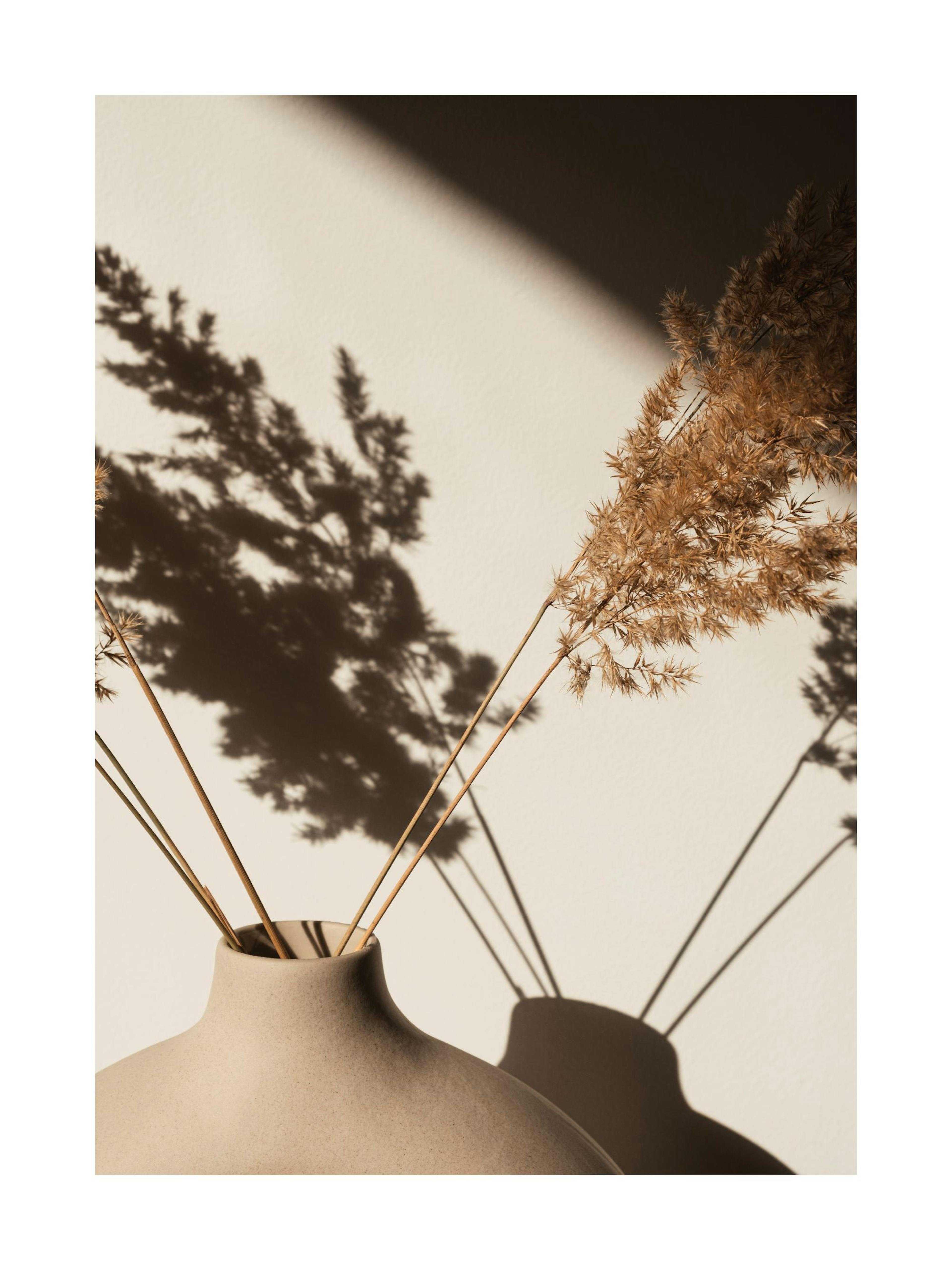 Pampas Grass Silhouette Poster