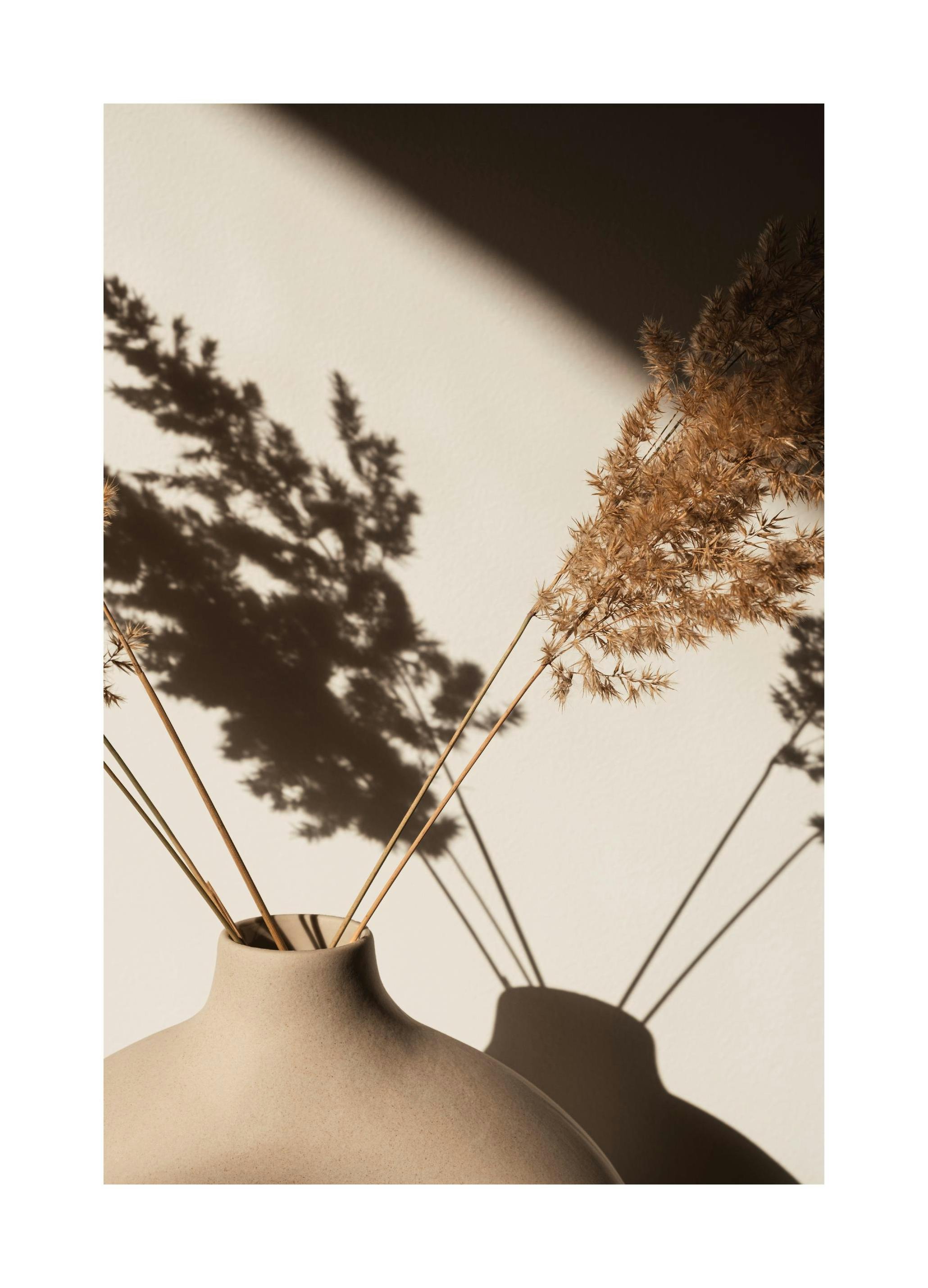 Pampas Grass Silhouette Affiche (30x40 cm) - Photographies