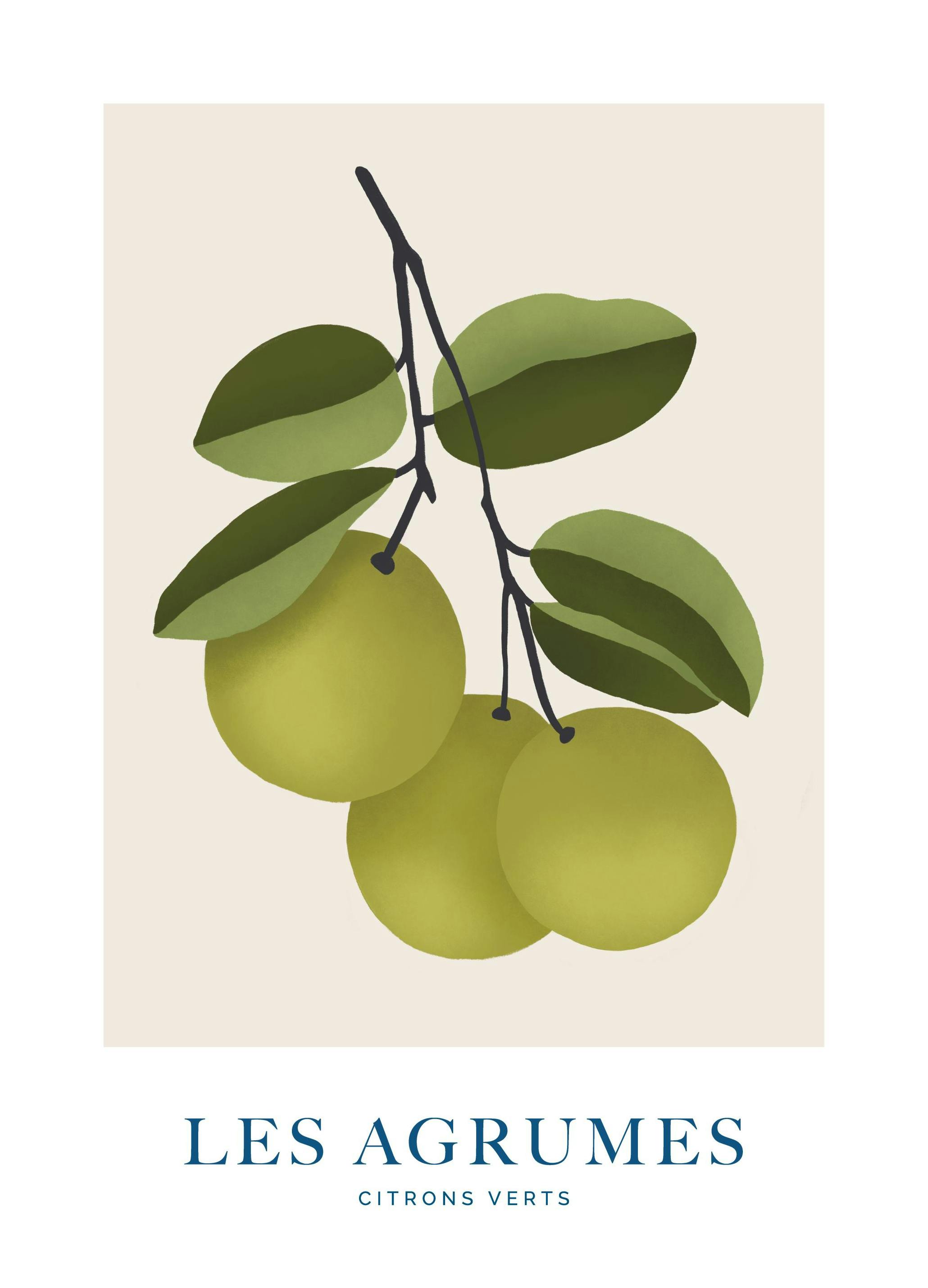 Prints - Les Agrumes No2 Print (50x70 cm) - Illustration prints