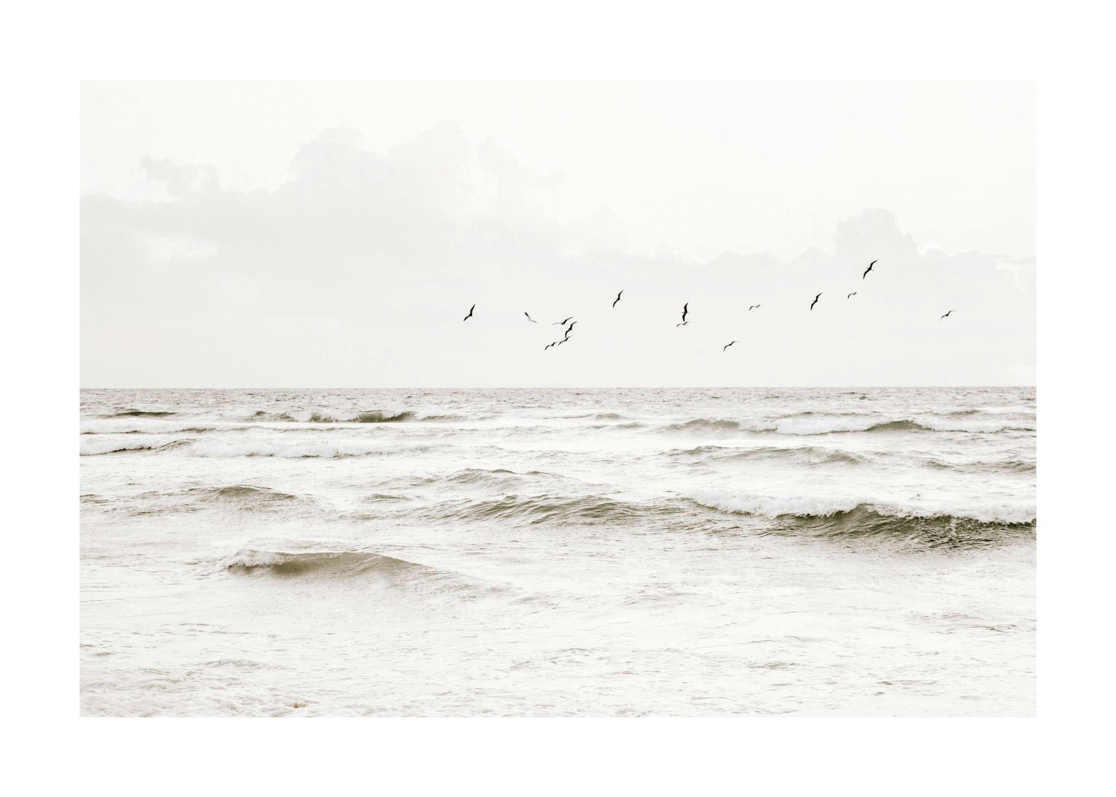Flock of Seabirds Poster 0