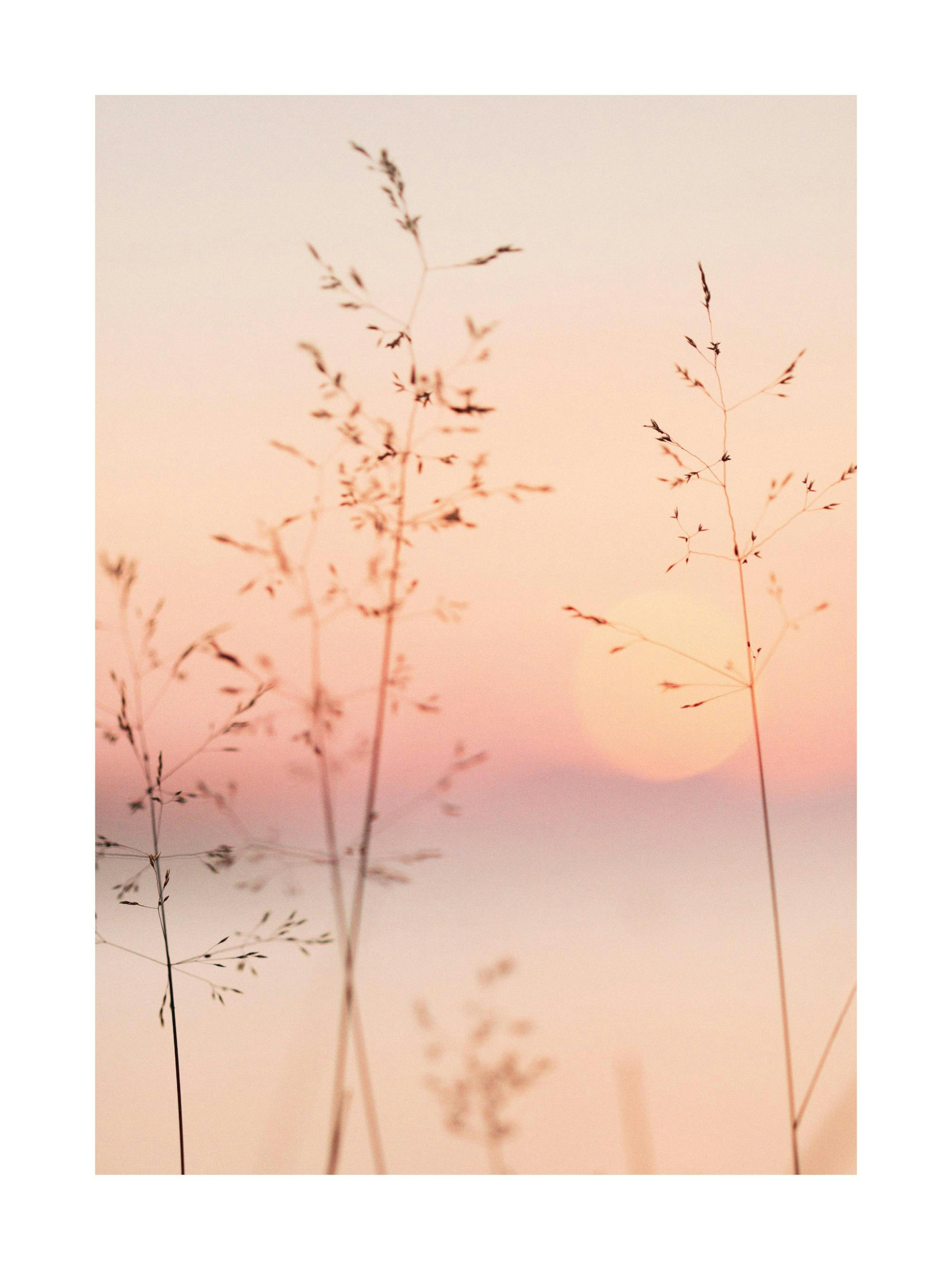 Product image: 1