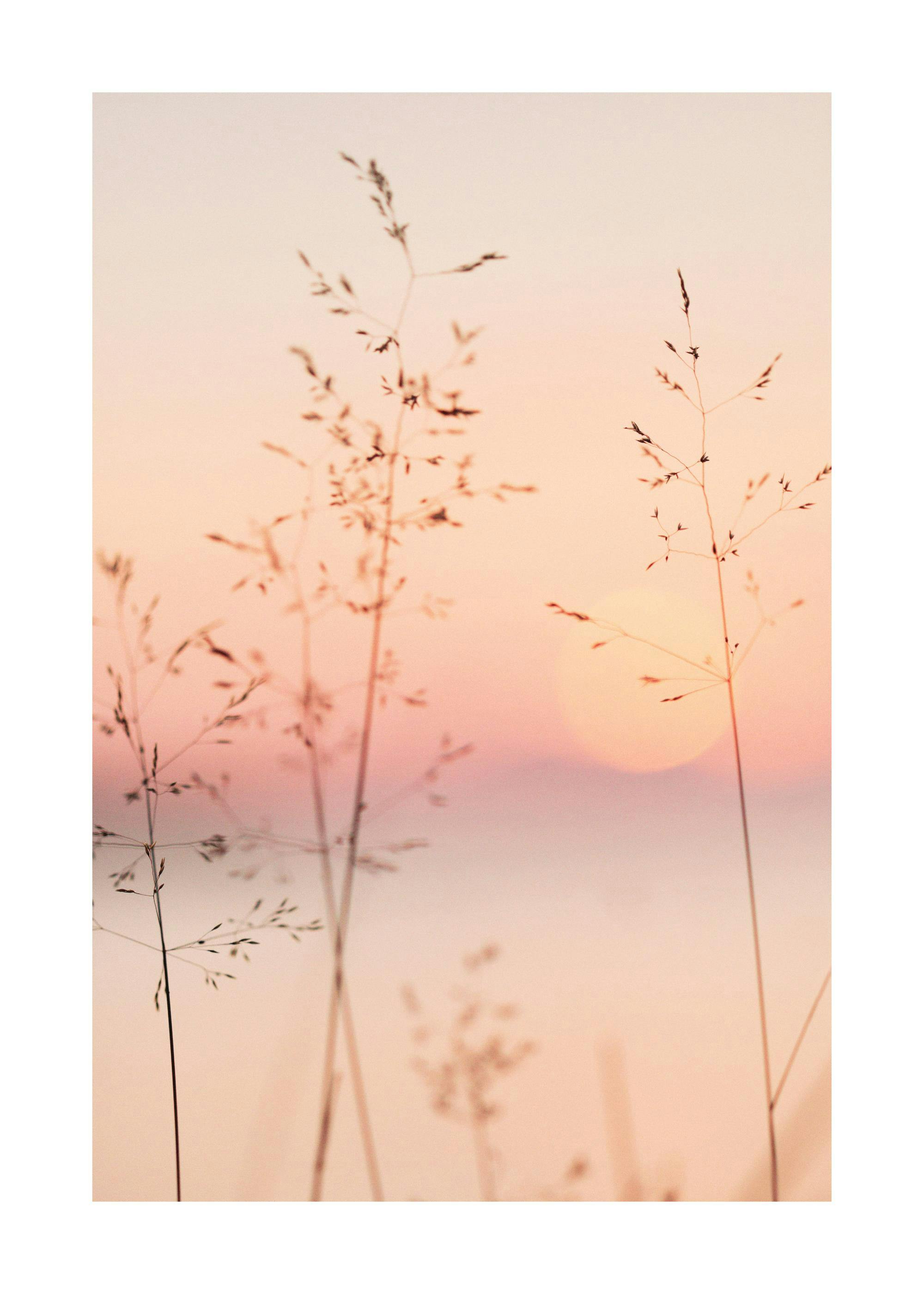 Pastel Sunset Poster 0