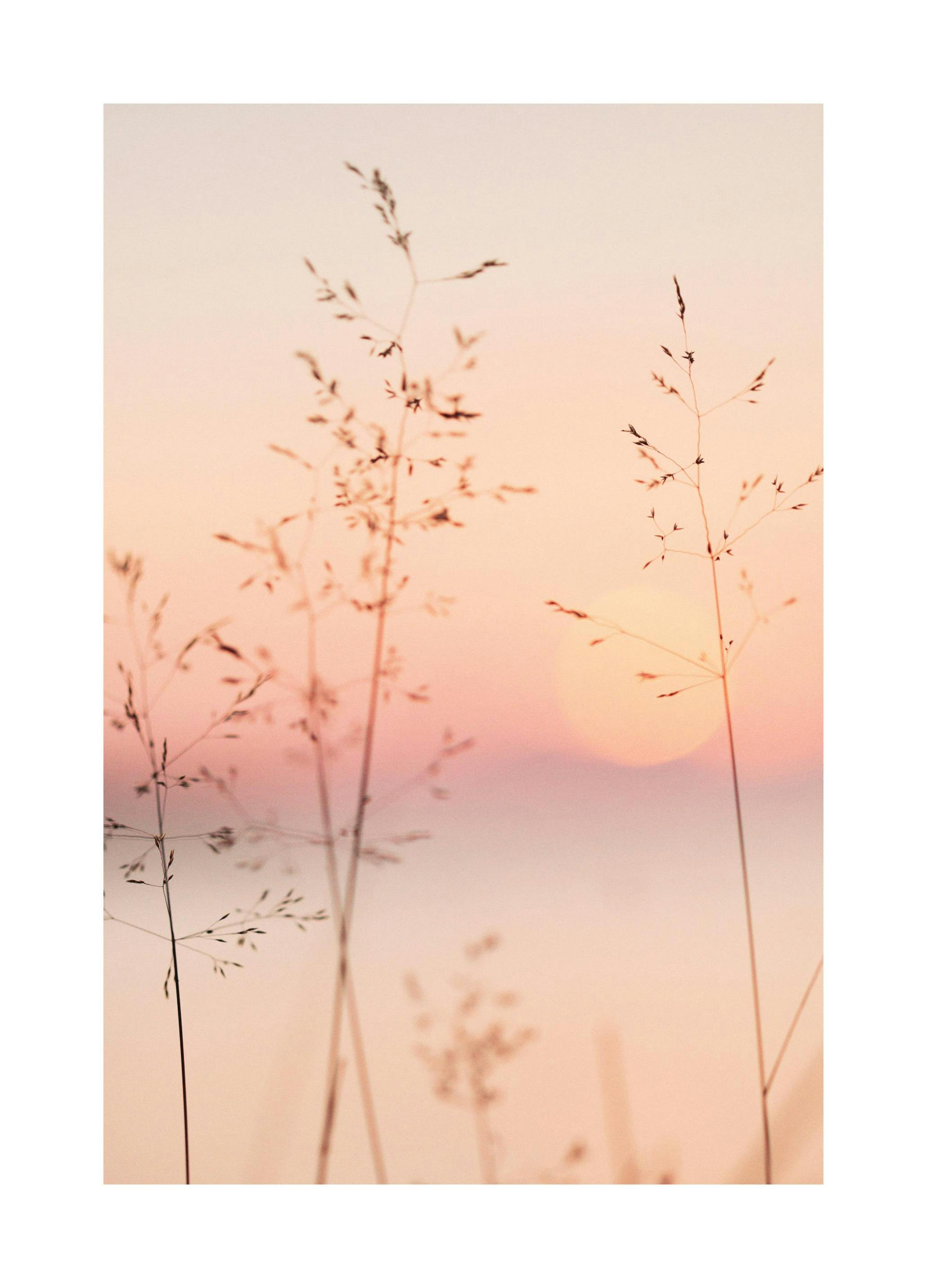 Pastel Sunset Affiche (50x70 cm) - Photographies