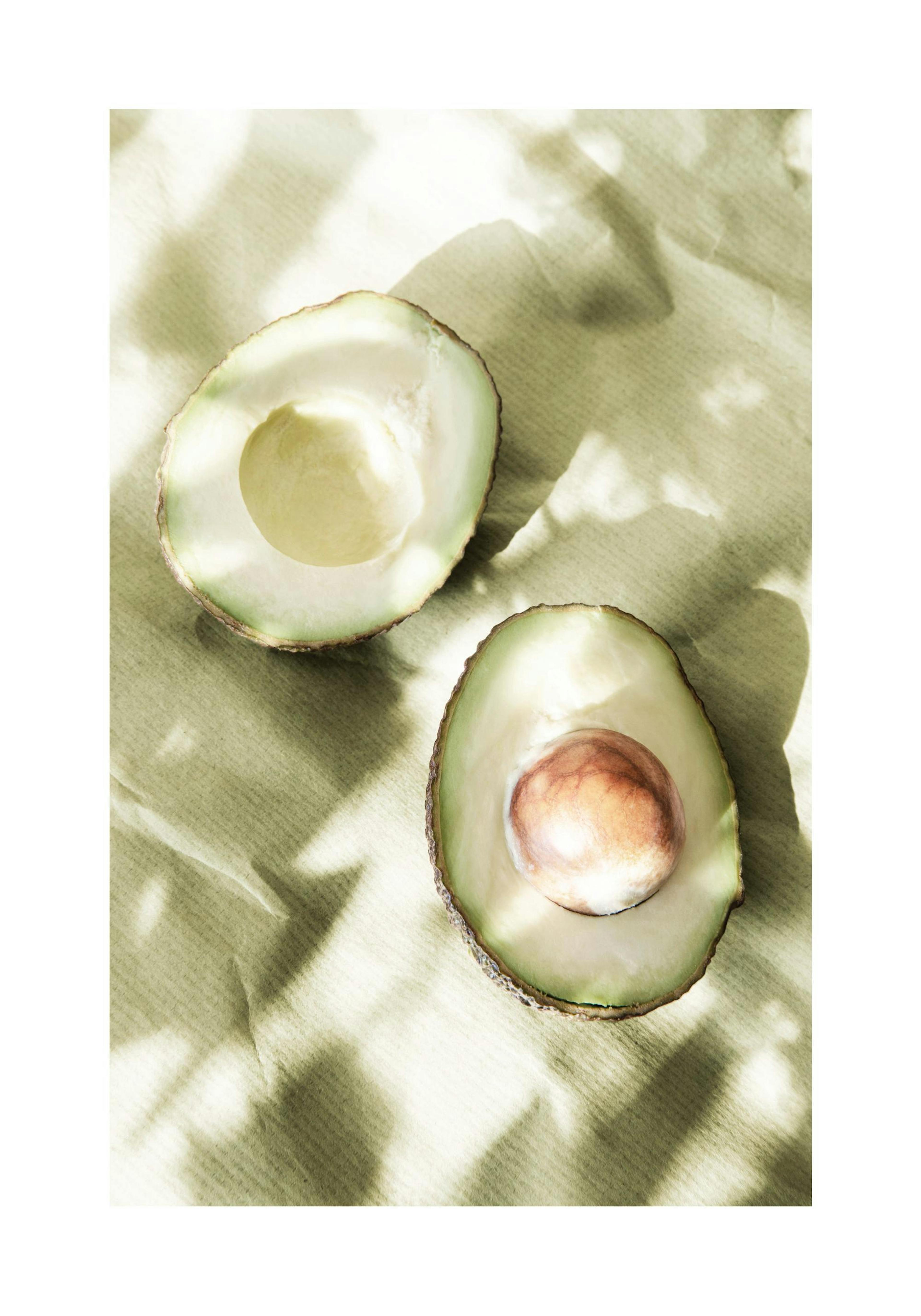 Sunlit Avocados Poster