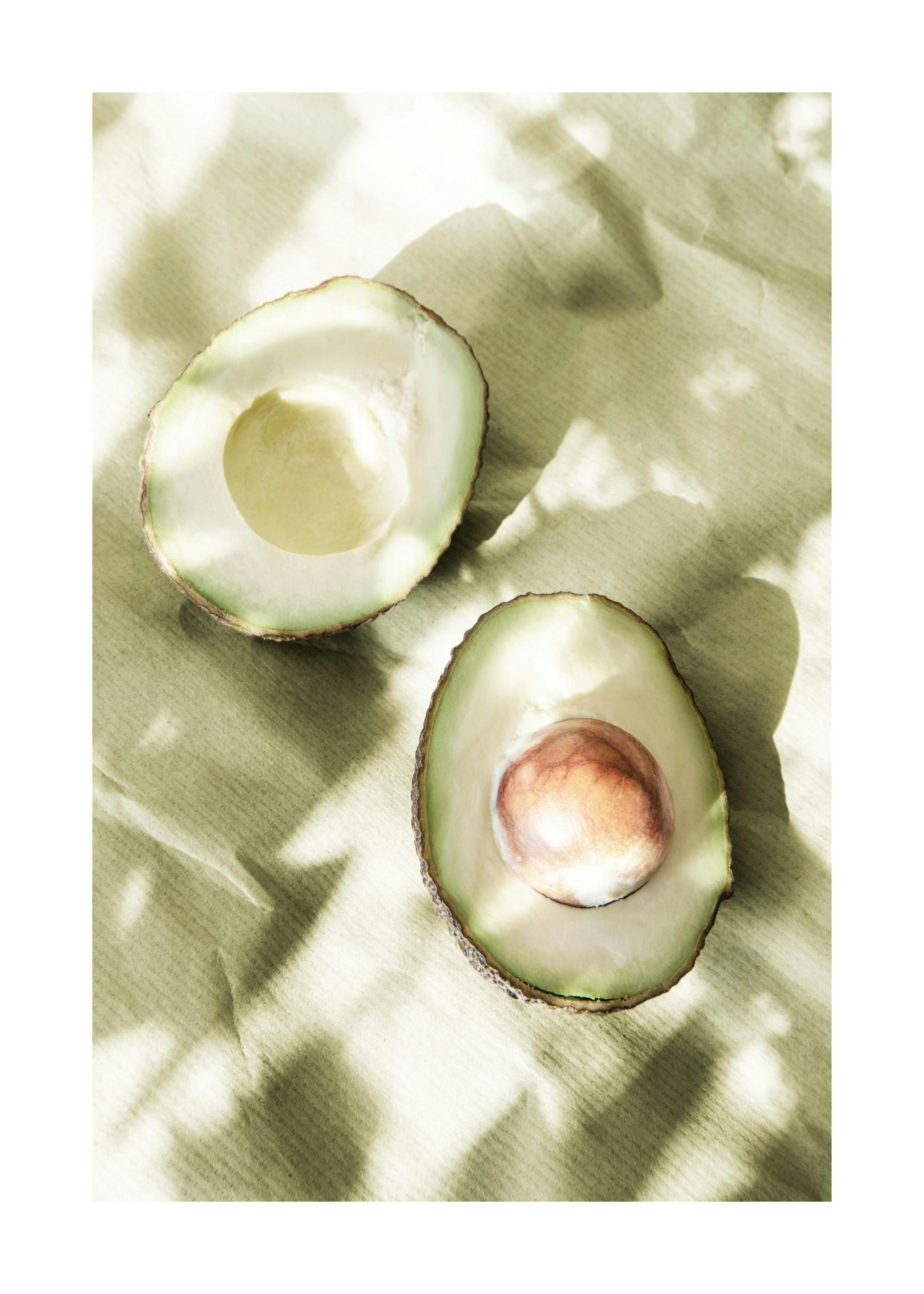 Sunlit Avocados Poster 0