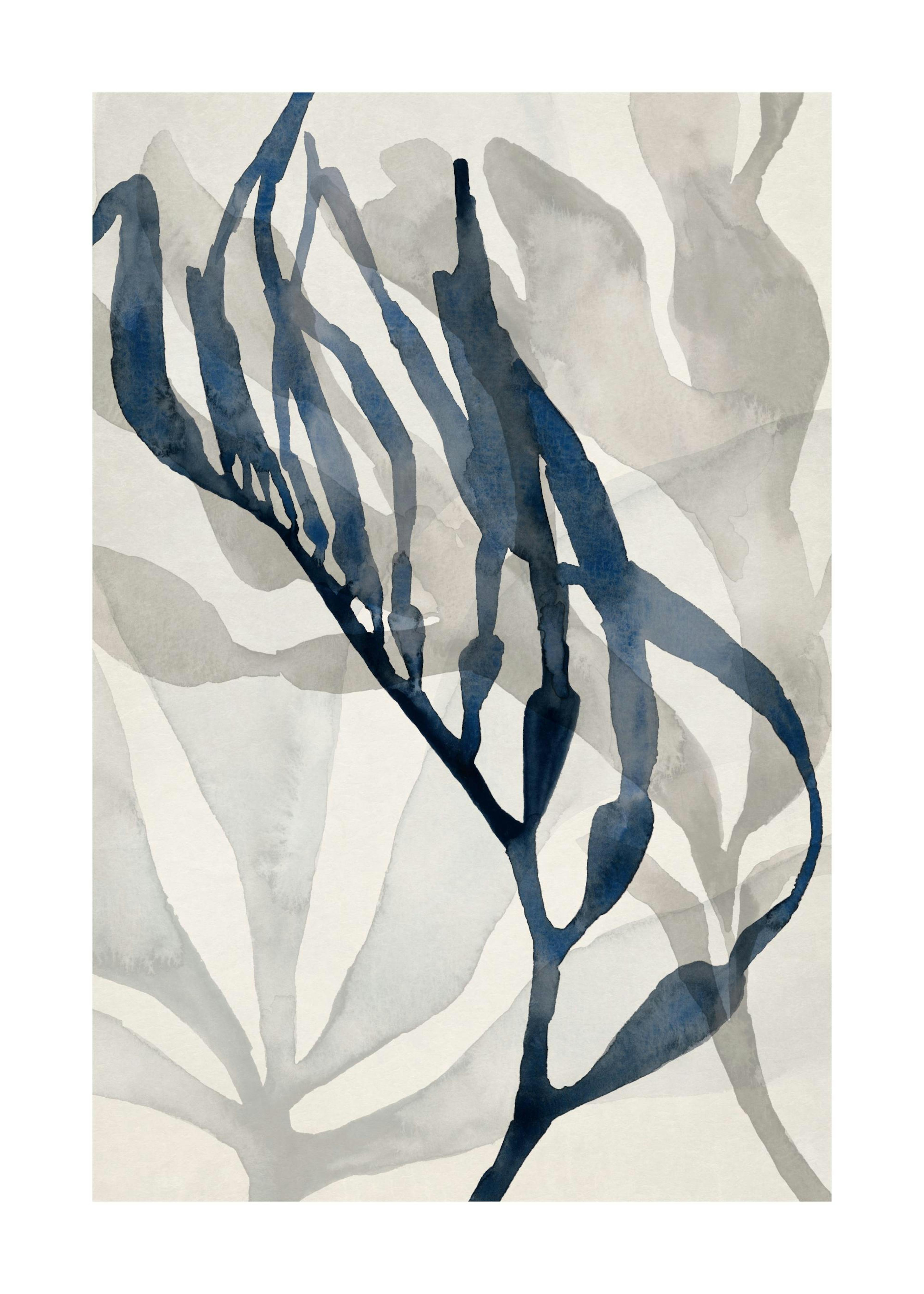 Watercolor Seaweed No2 Plakát 0