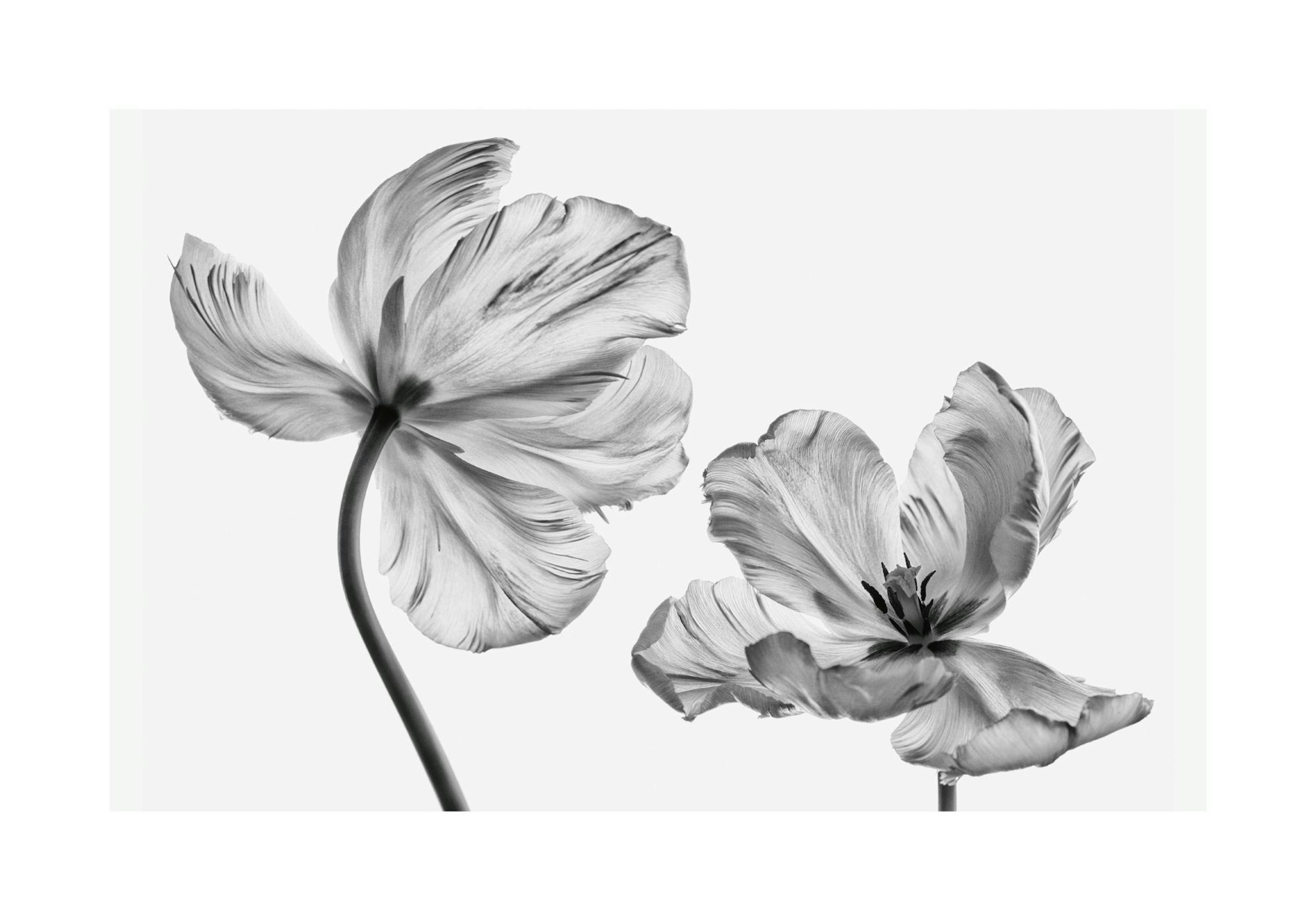 Product image: 1