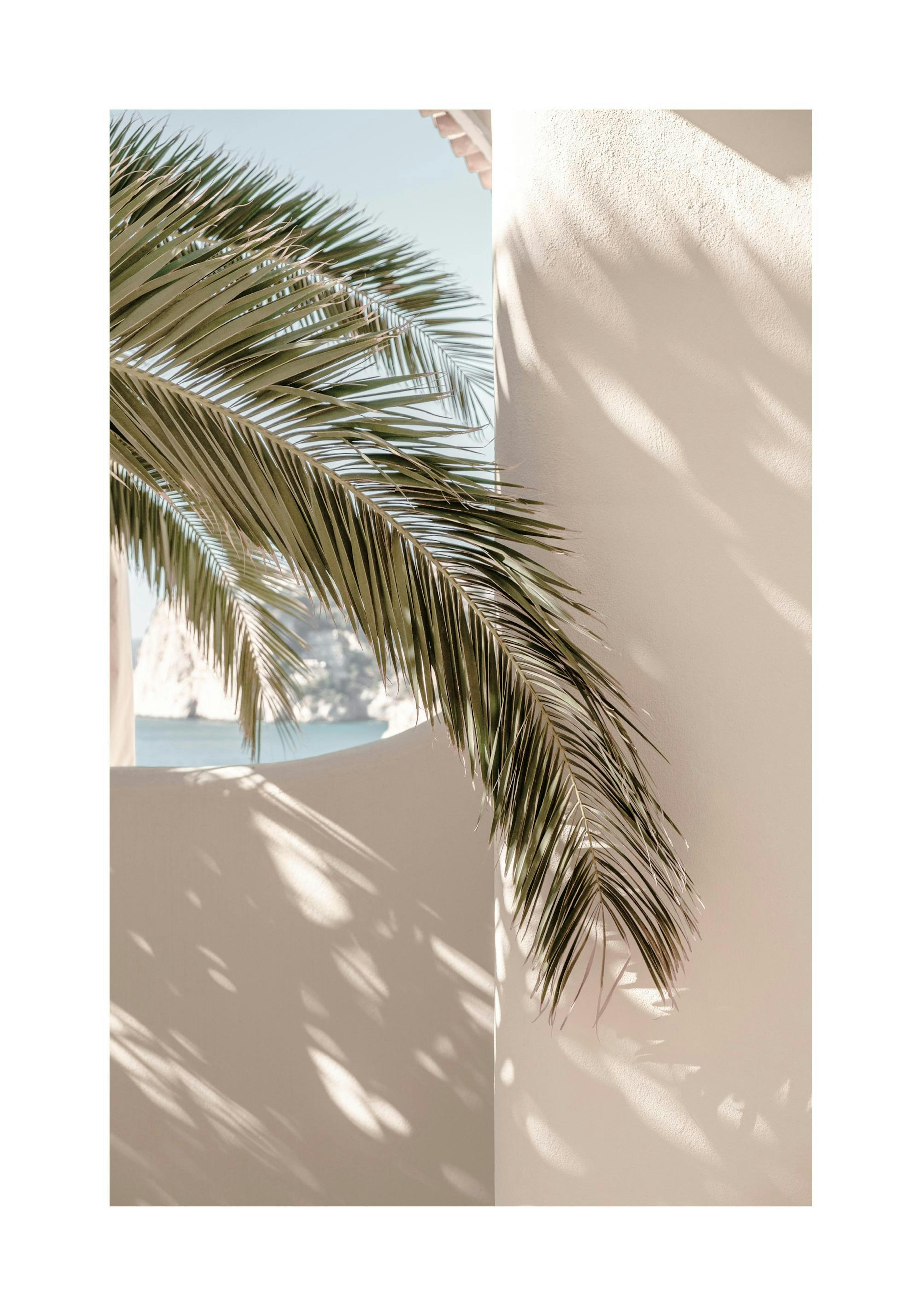 Tropical Shadow Poster
