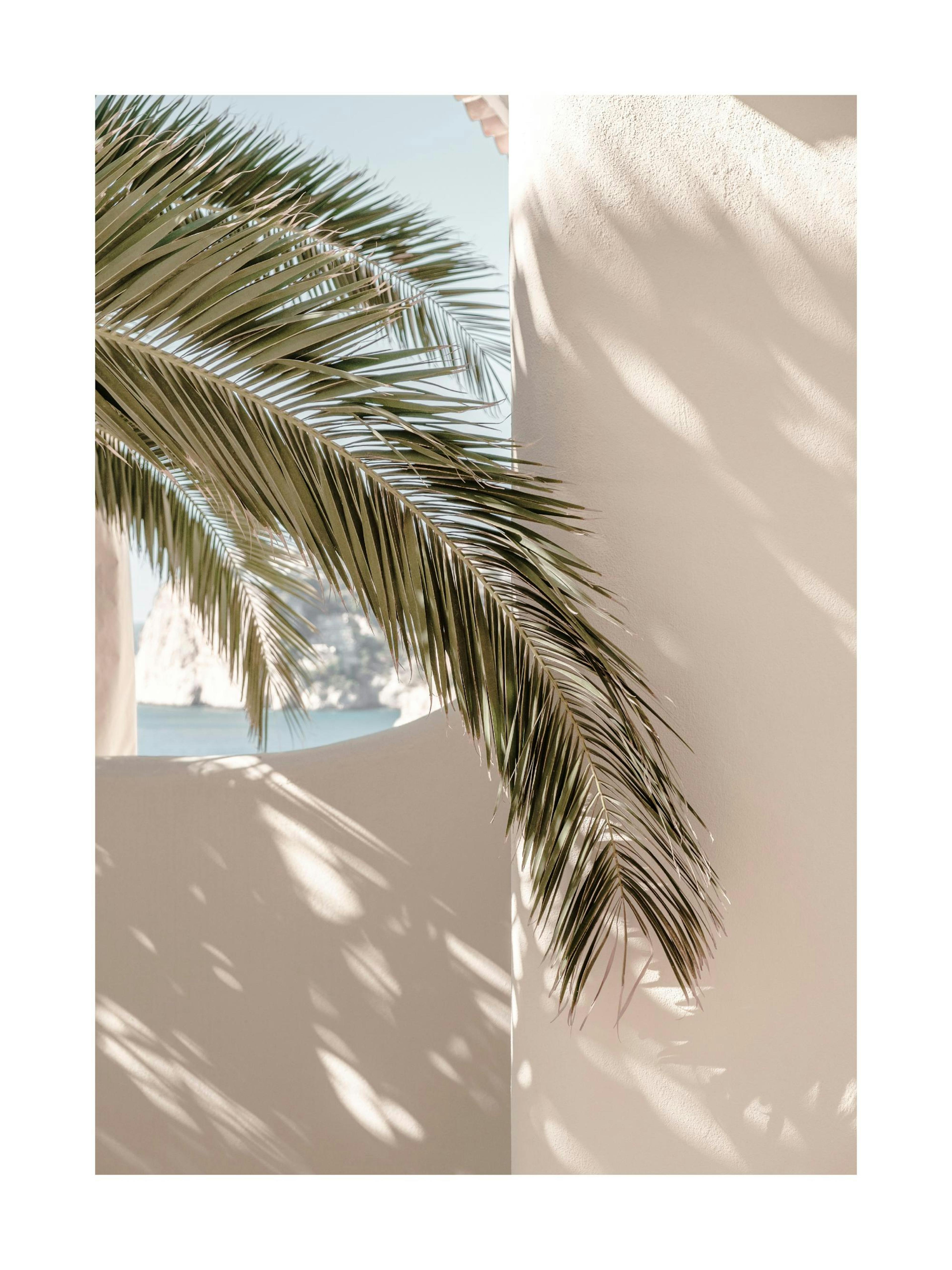 Tropical Shadow Poster