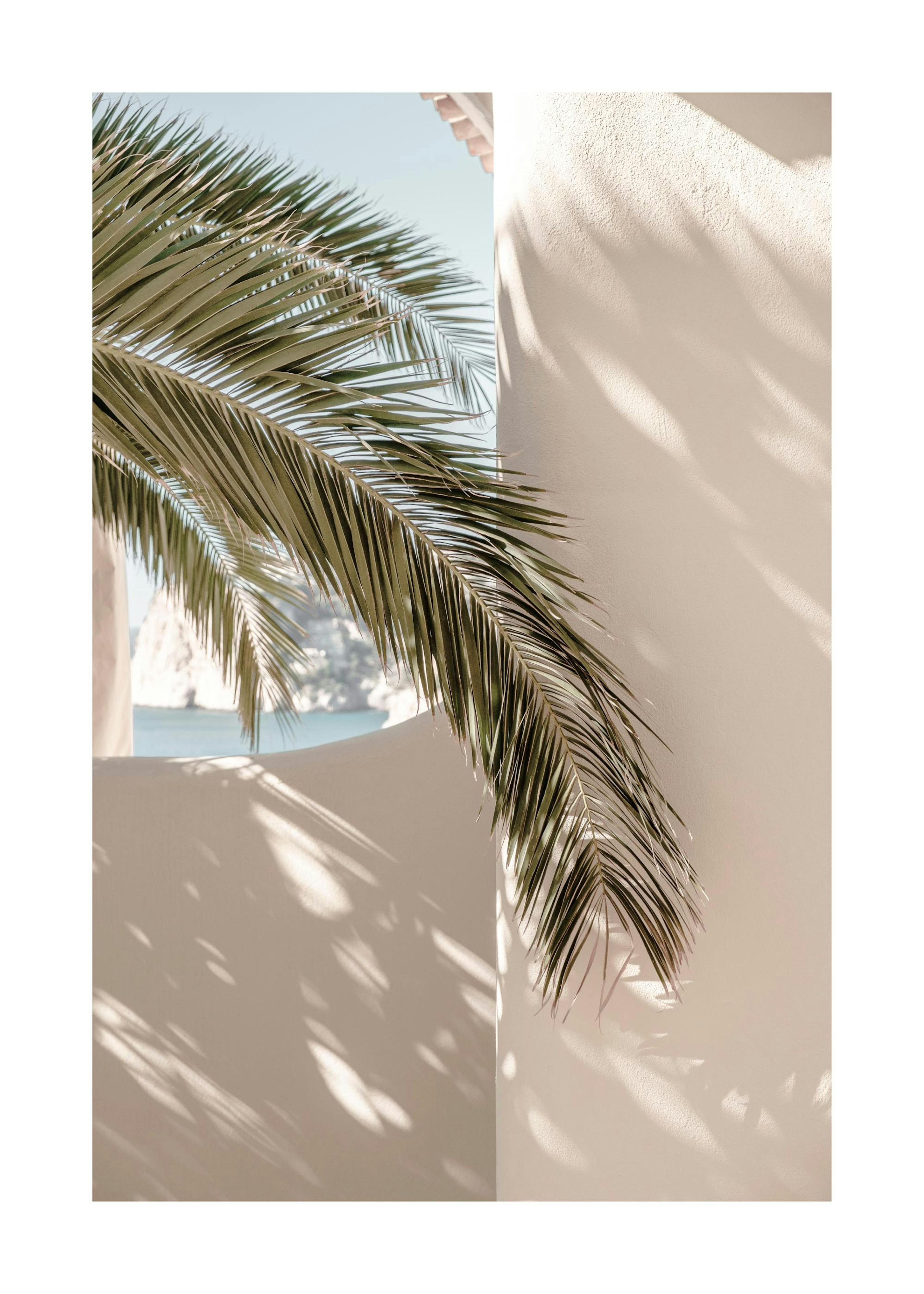 Tropical Shadow Plakat 0